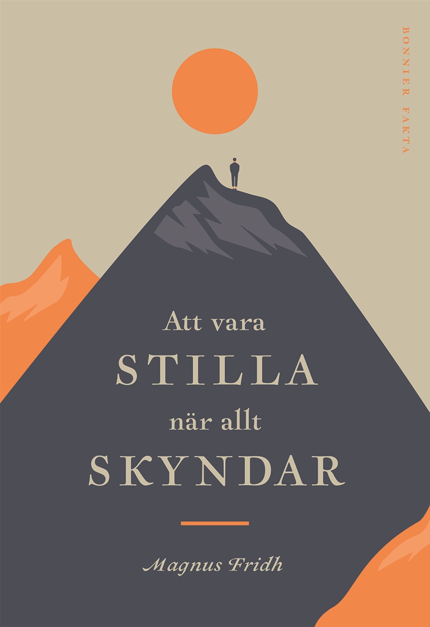 Att vara stilla när allt skyndar – E-bok
