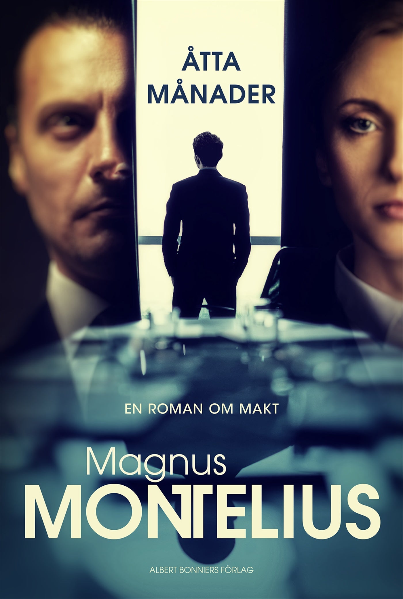 Åtta månader – E-bok