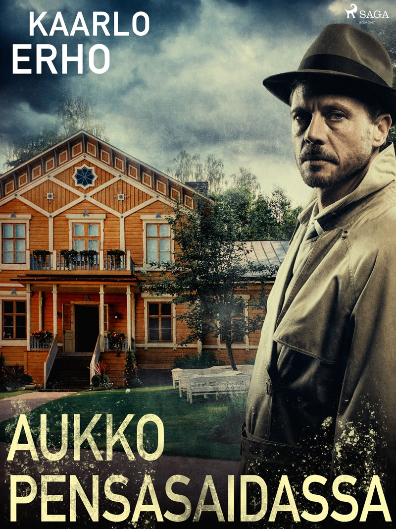 Aukko pensasaidassa – E-bok