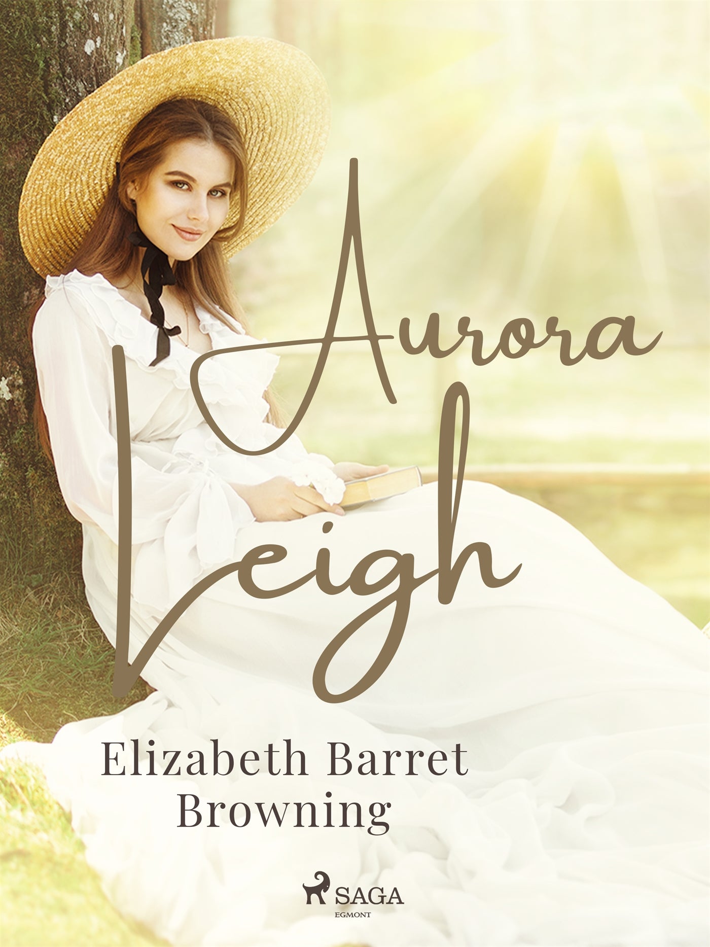 Aurora Leigh – E-bok