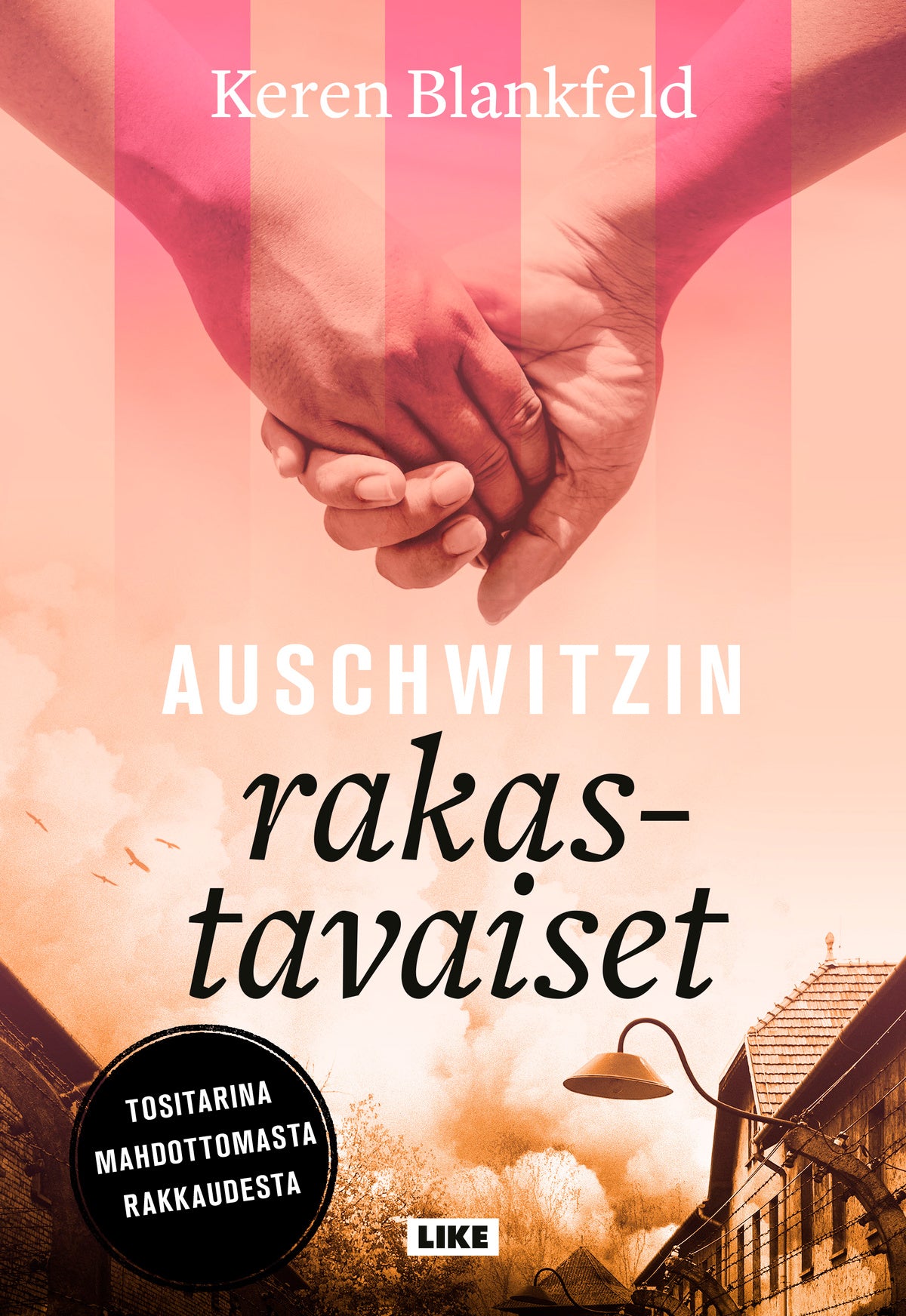 Auschwitzin rakastavaiset – E-bok