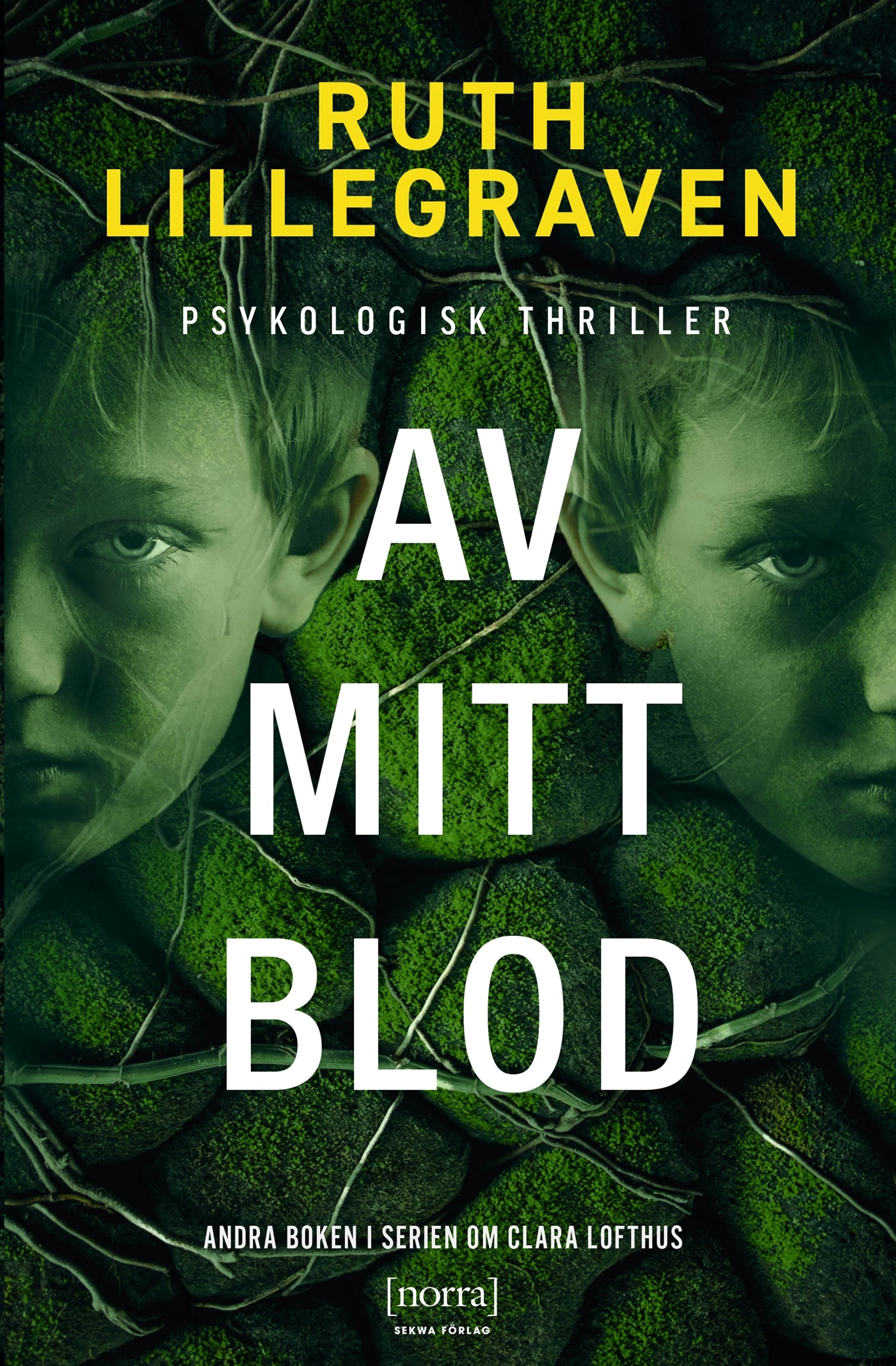 Av mitt blod – E-bok