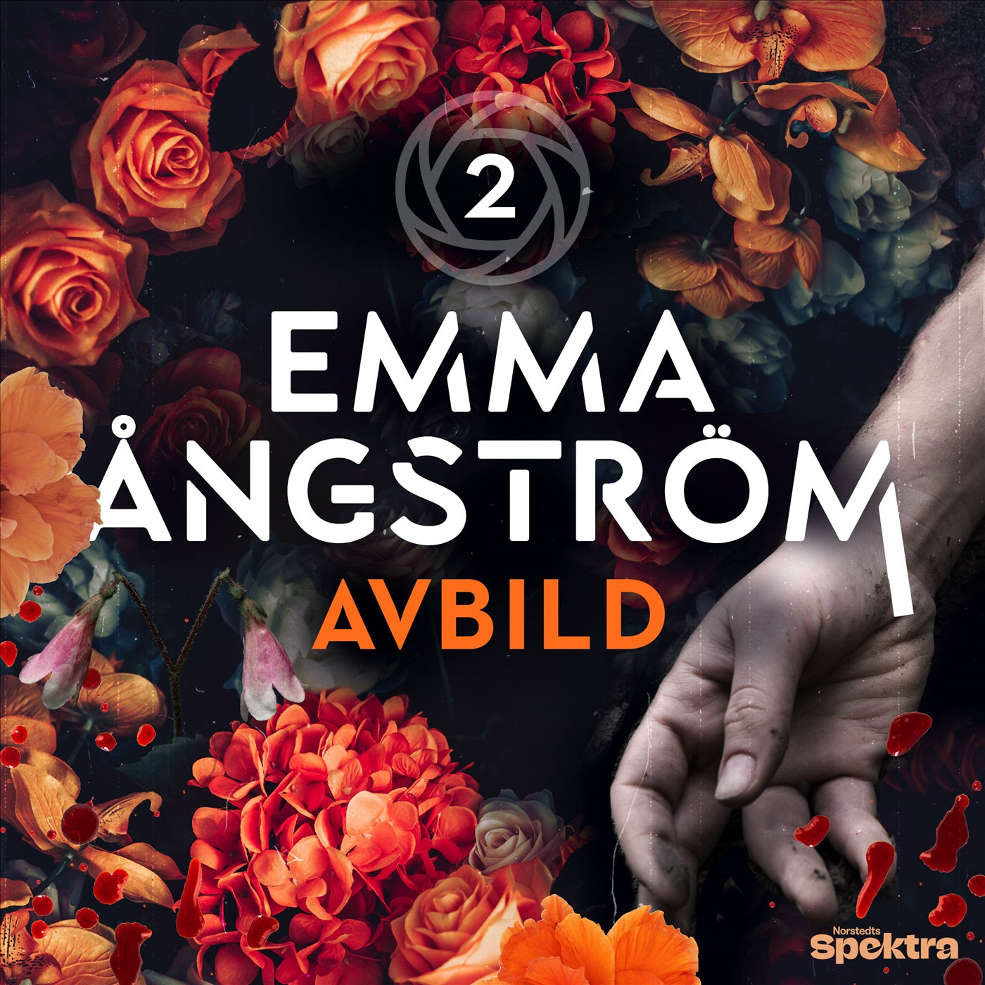 Avbild – Ljudbok
