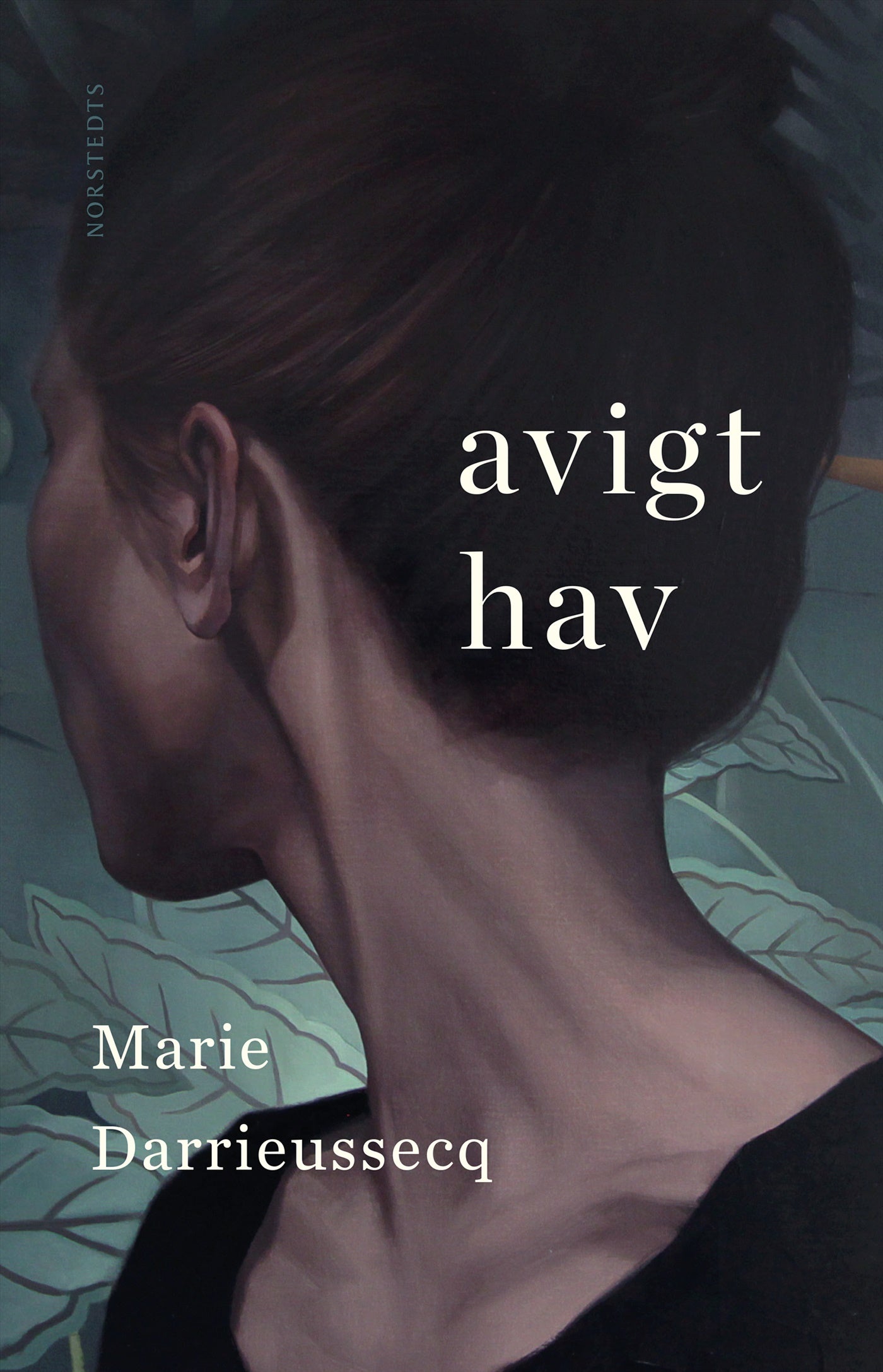Avigt hav – E-bok