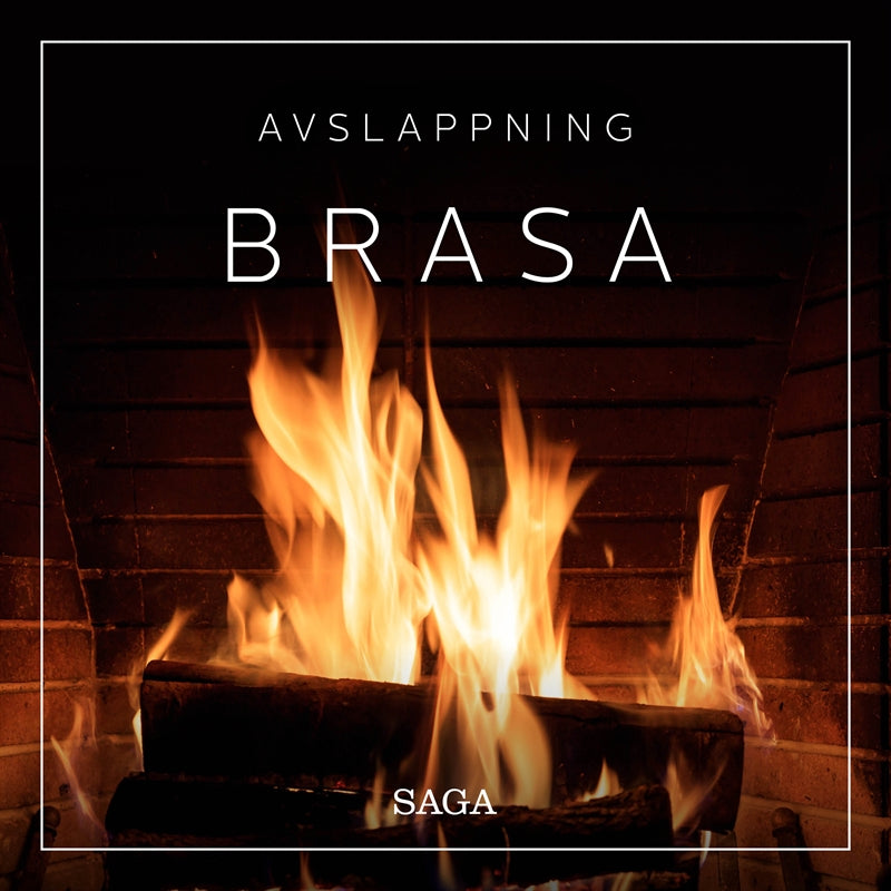 Avslappning - Brasa – Ljudbok