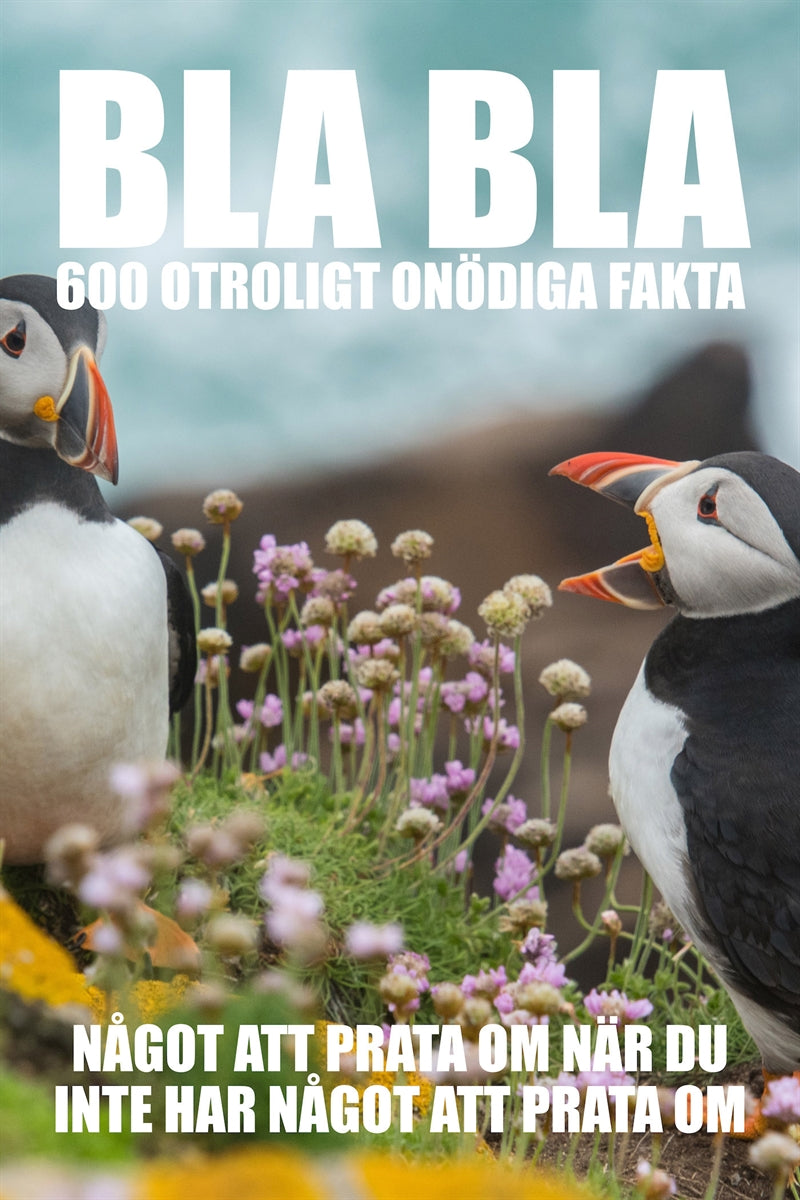 BLA BLA : 600 otroligt onödiga fakta – E-bok