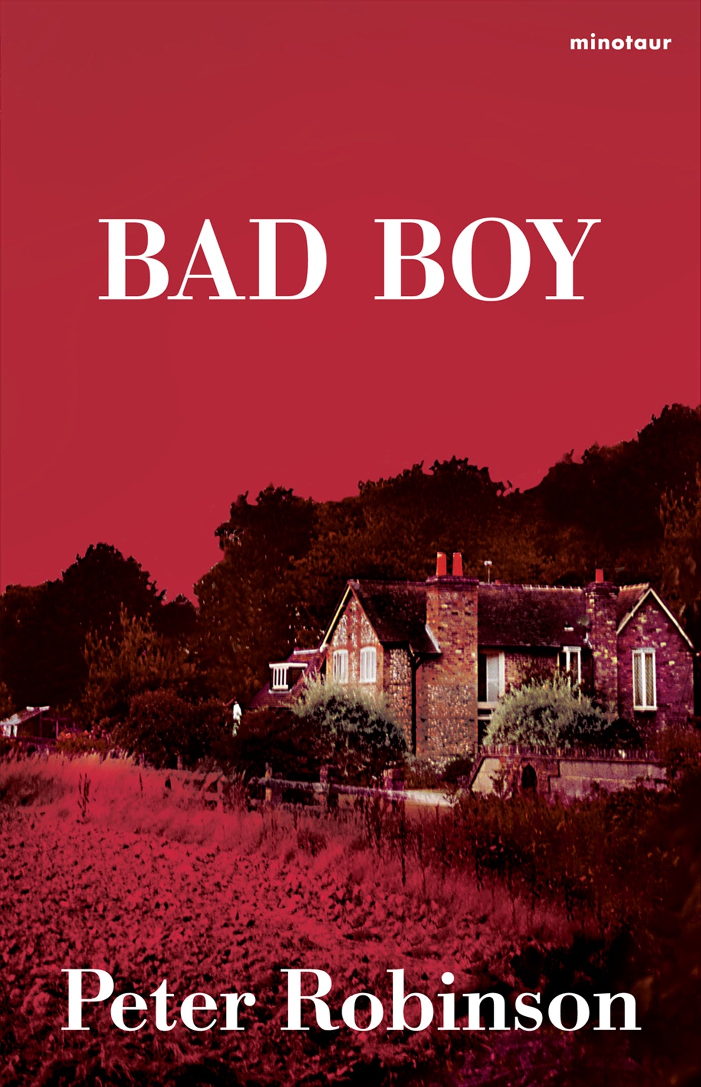 Bad boy – E-bok