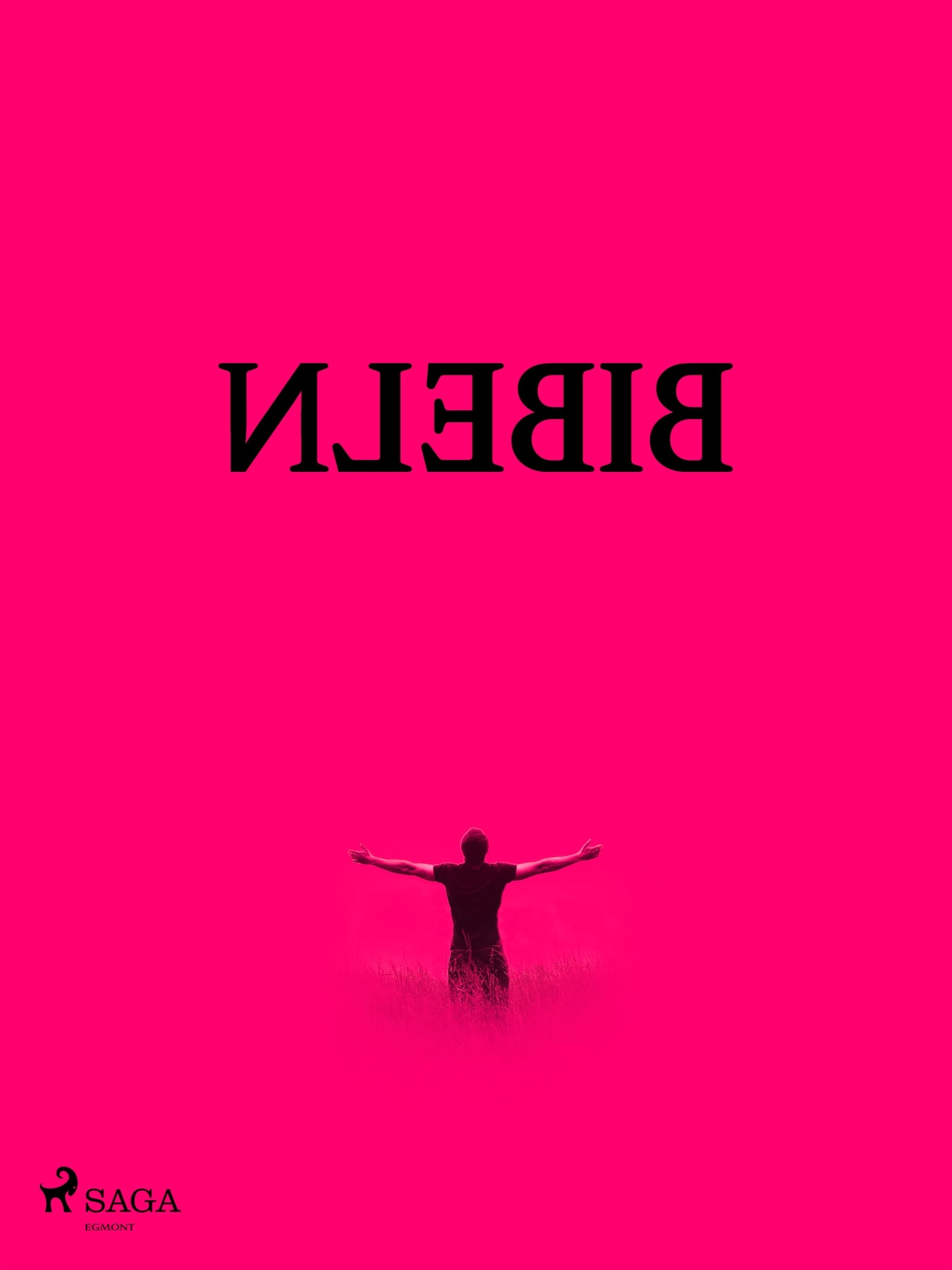 Baklängesbibeln – E-bok