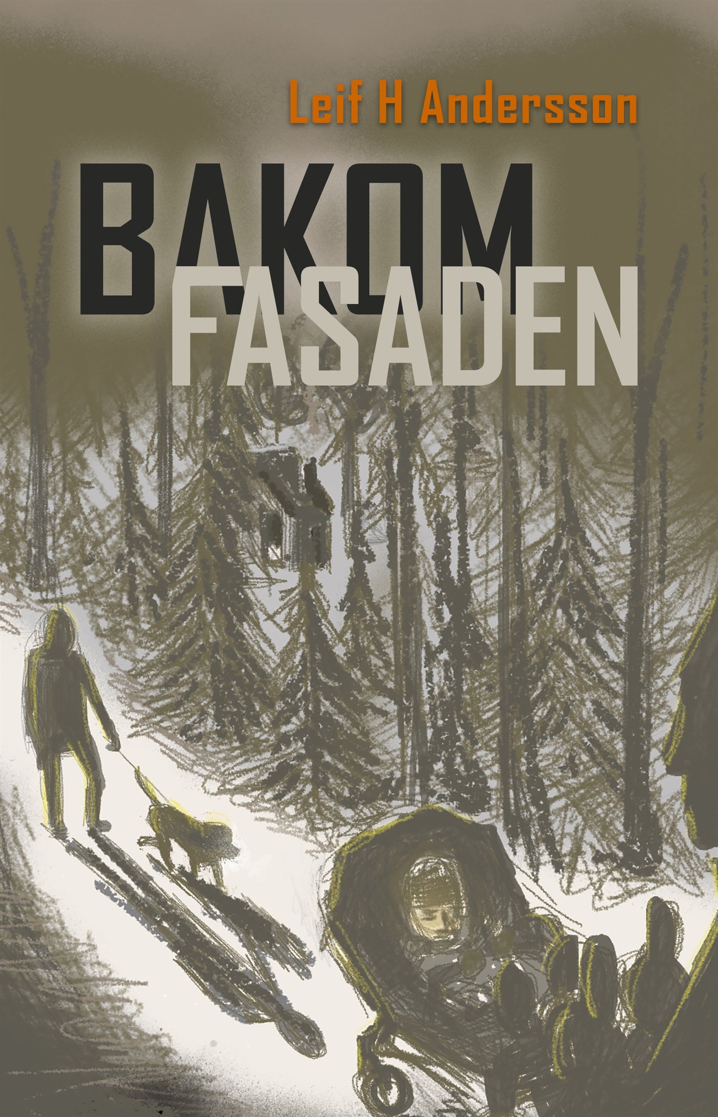 Bakom fasaden – E-bok