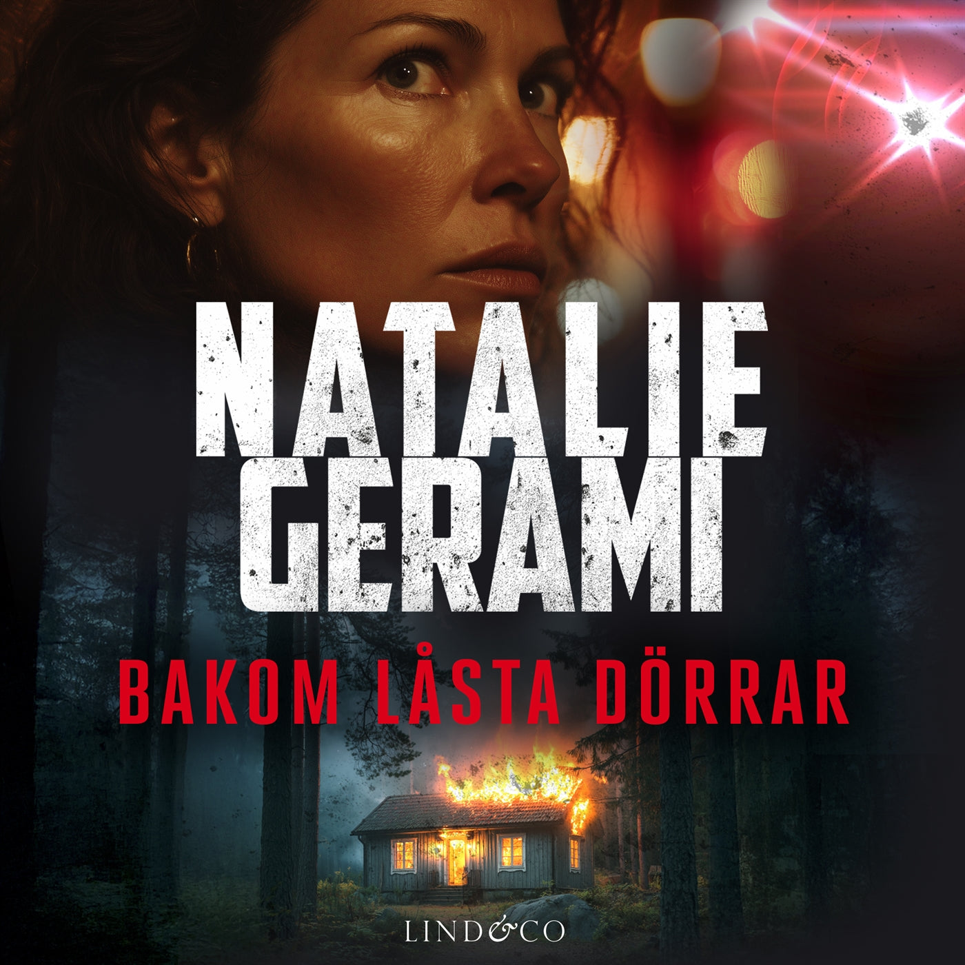 Bakom låsta dörrar – Ljudbok