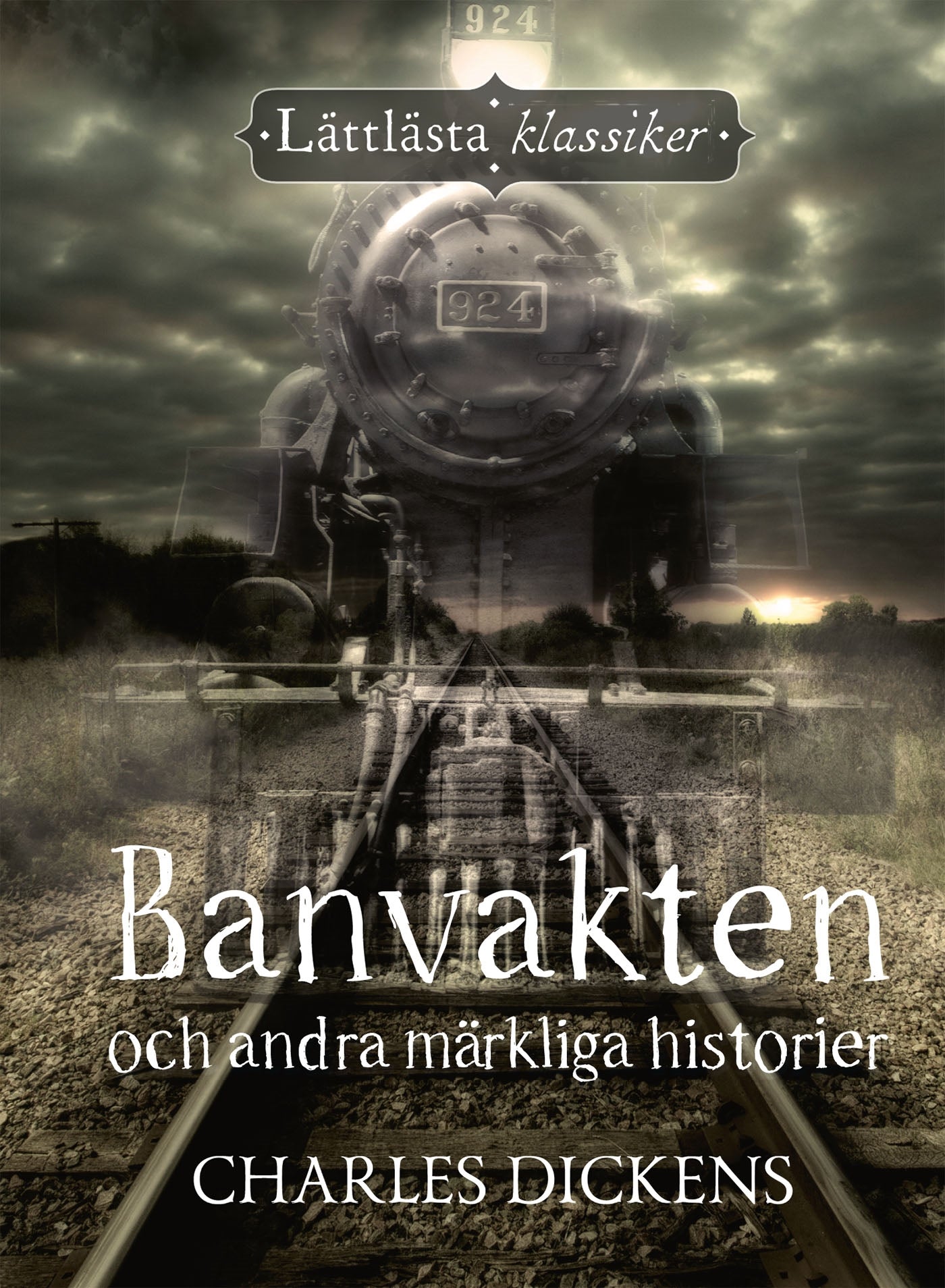 Banvakten och andra märkliga historier – E-bok