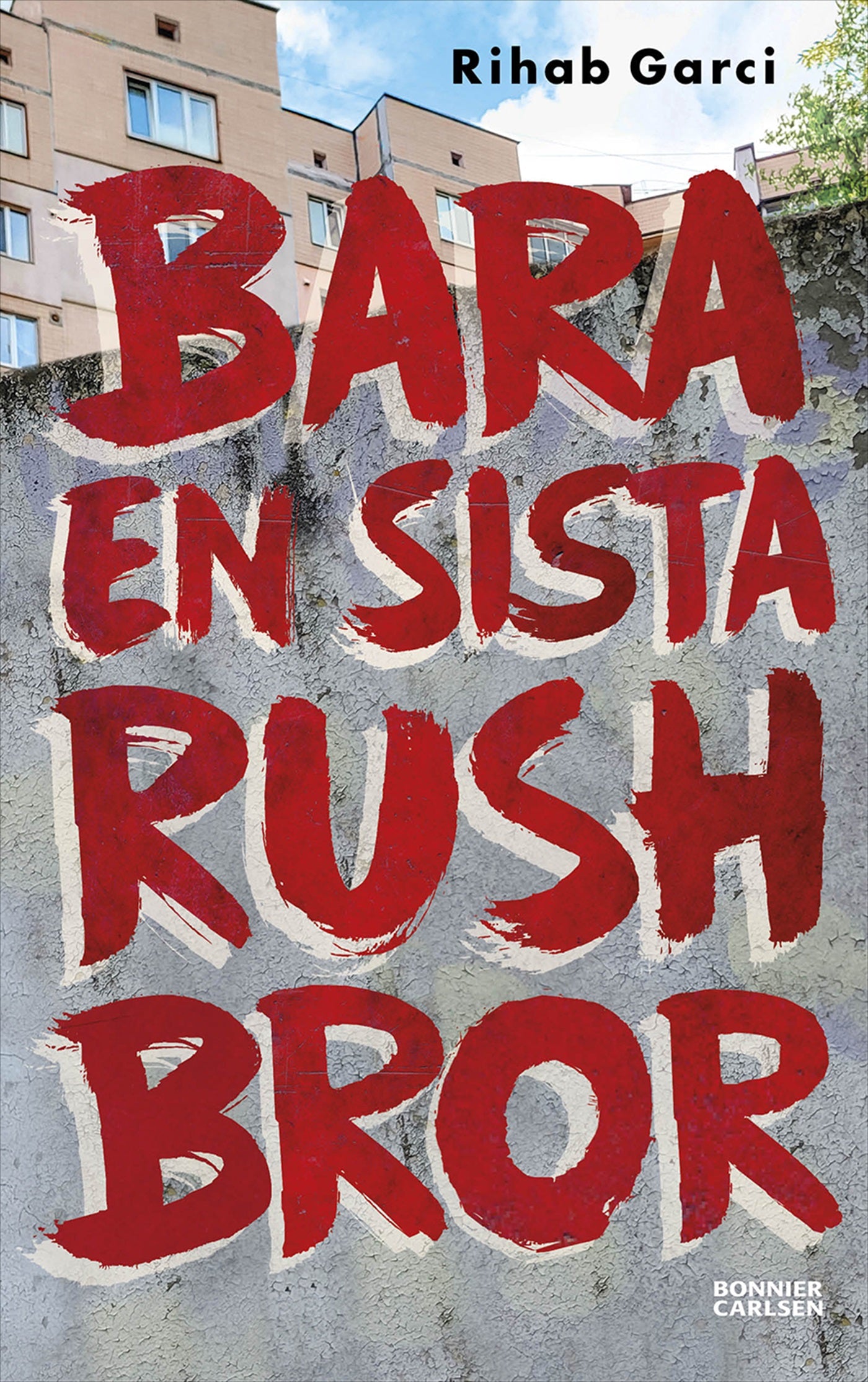 Bara en sista rush bror – E-bok