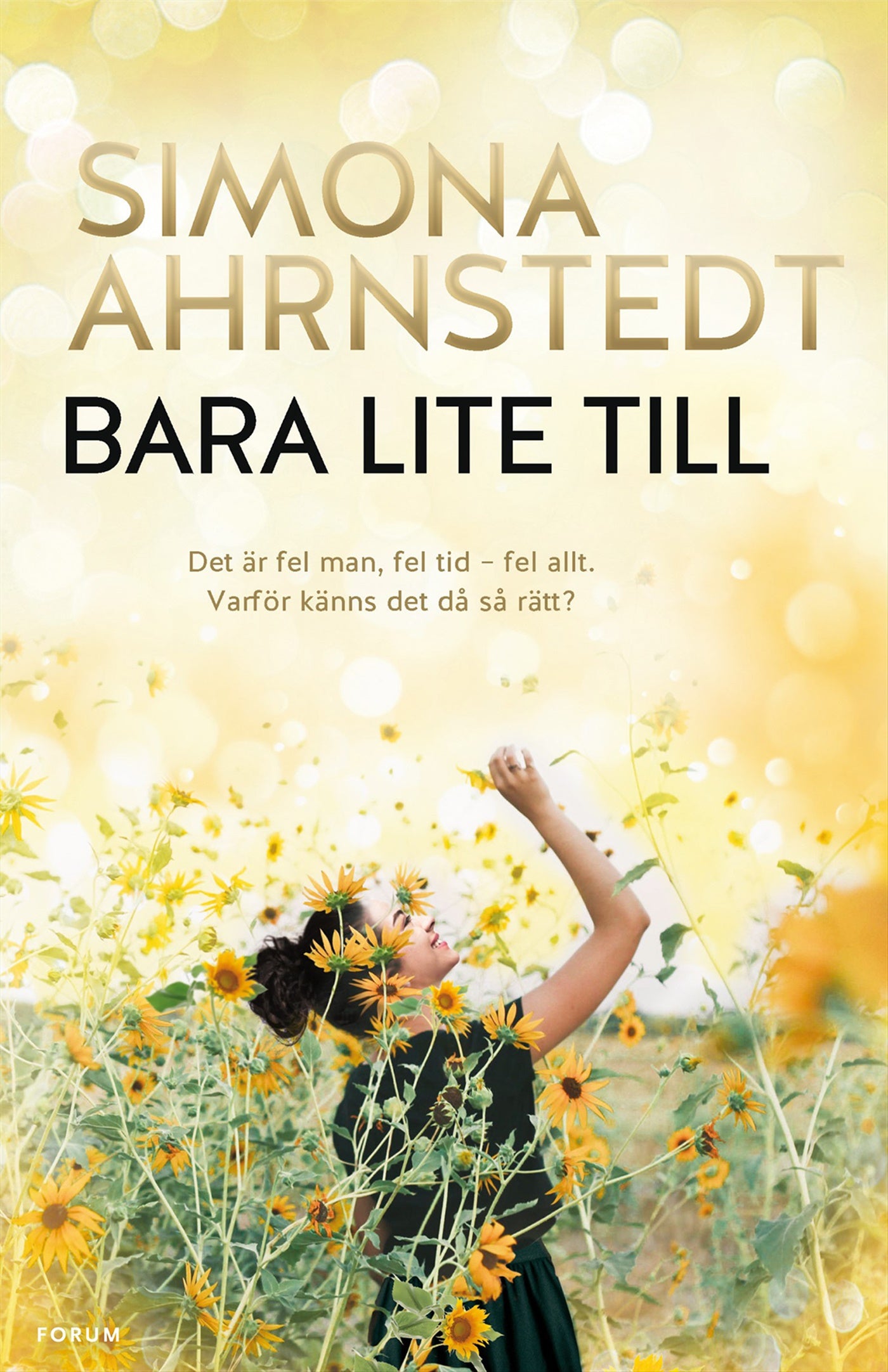 Bara lite till – E-bok