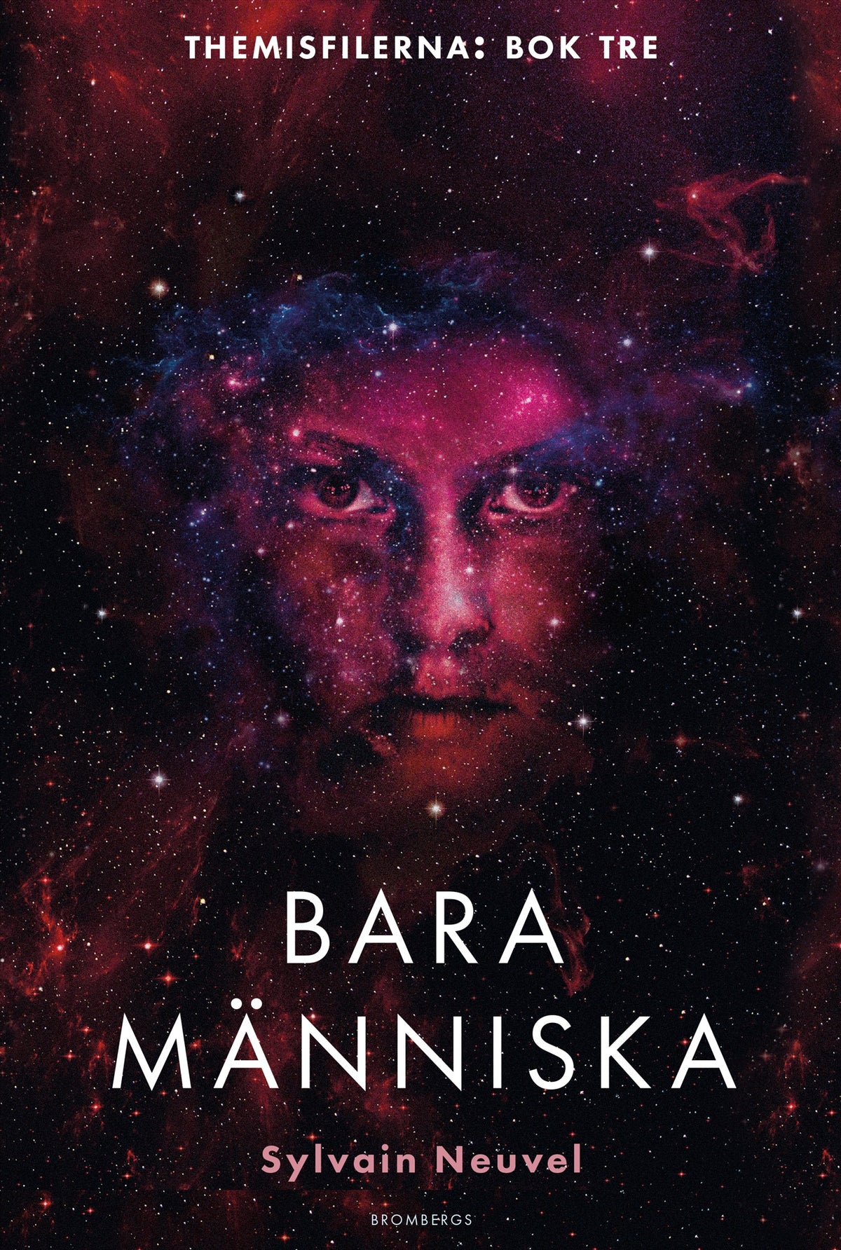 Bara människa – E-bok