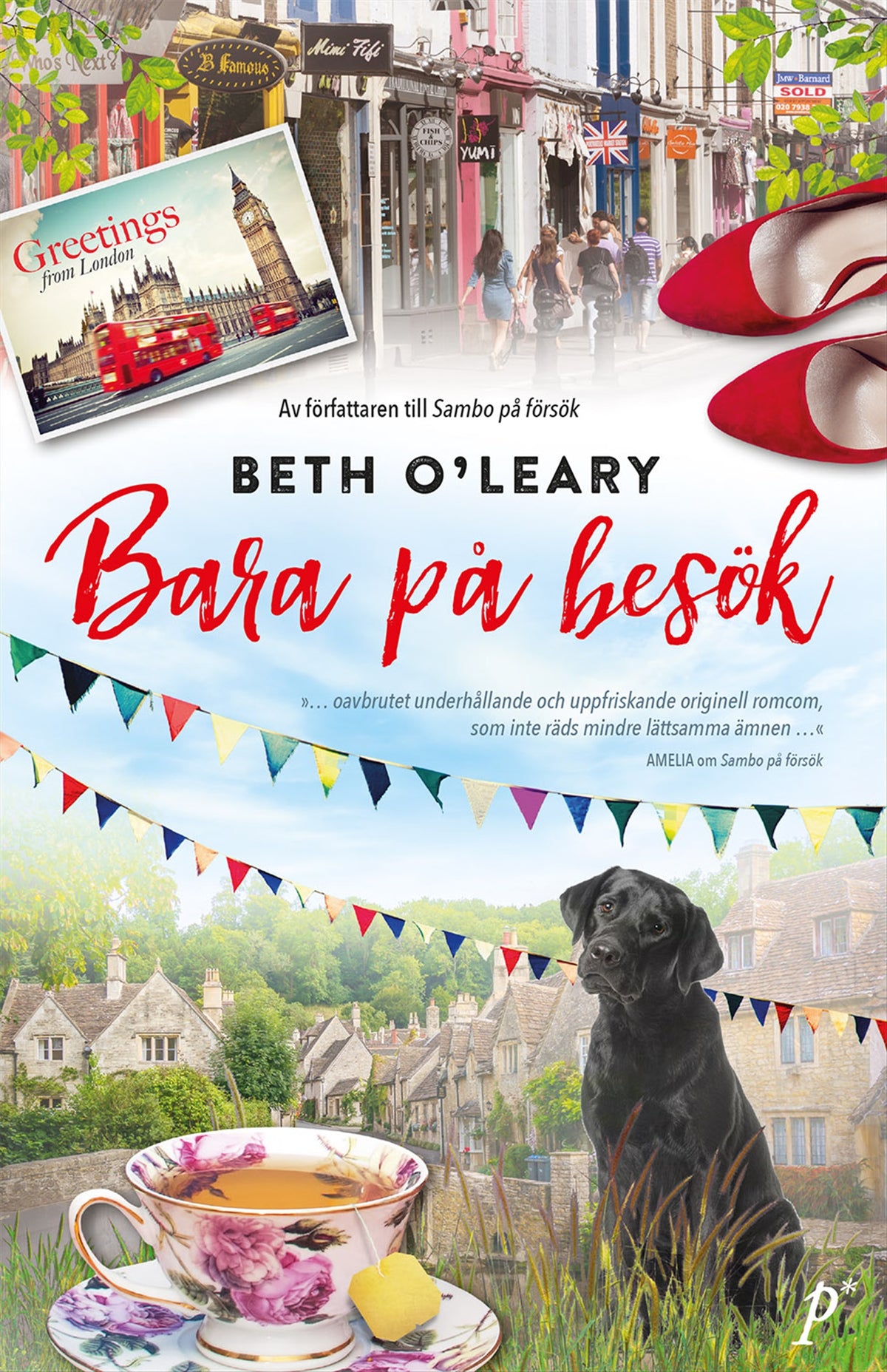 Bara på besök – E-bok