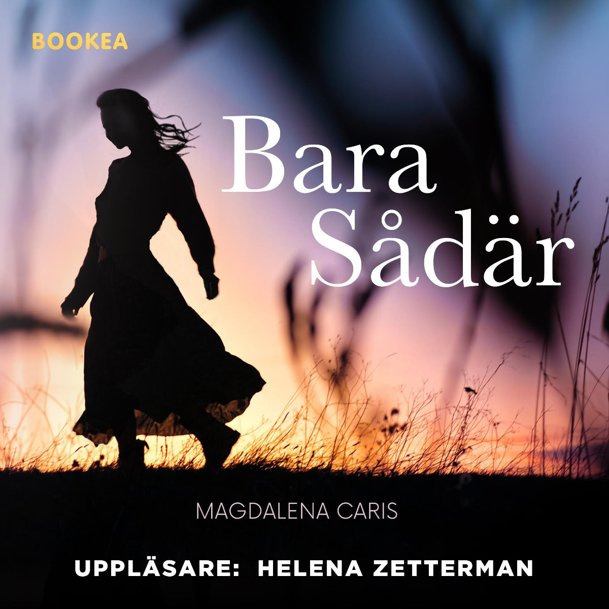 Bara sådär – Ljudbok