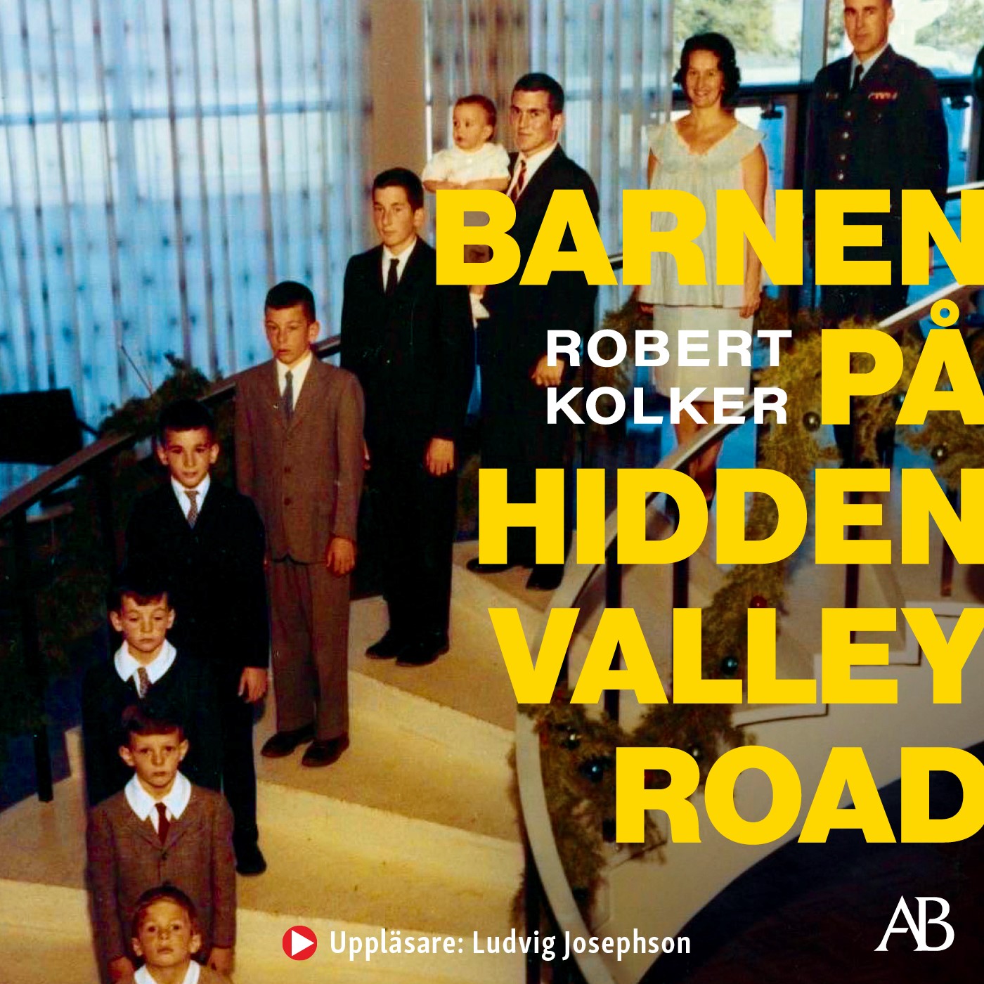 Barnen på Hidden Valley Road – Ljudbok