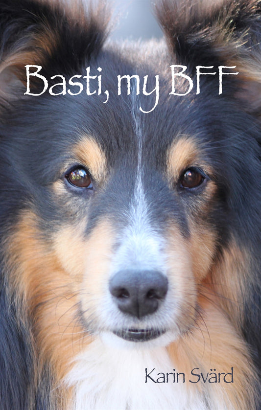 Basti, my BFF – E-bok