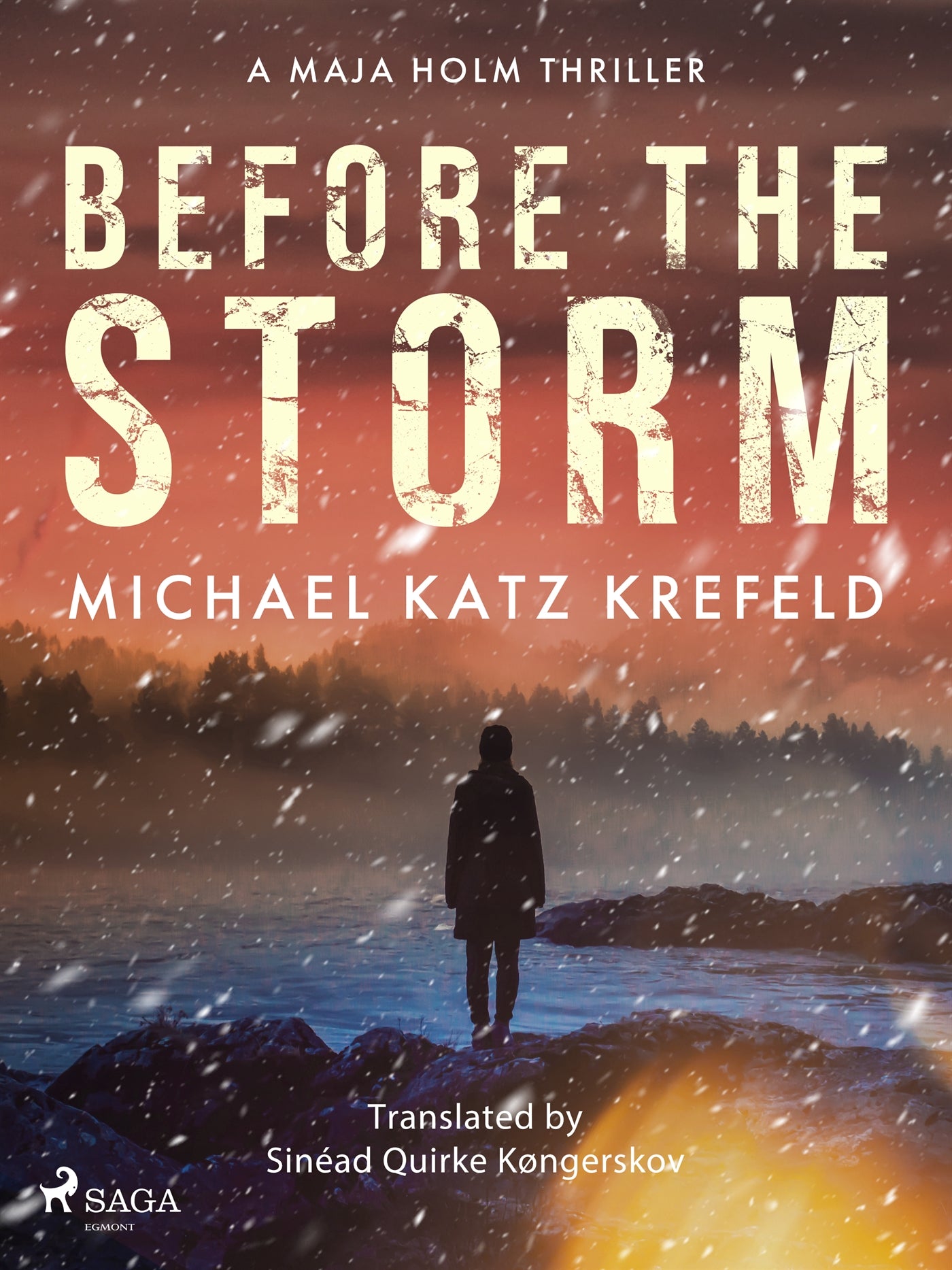 Before the Storm: a gripping Scandinavian suspense thriller from the master of Danish crime – E-bok