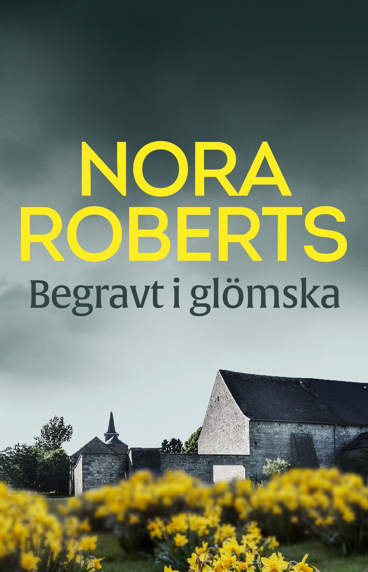 Begravt i glömska – E-bok