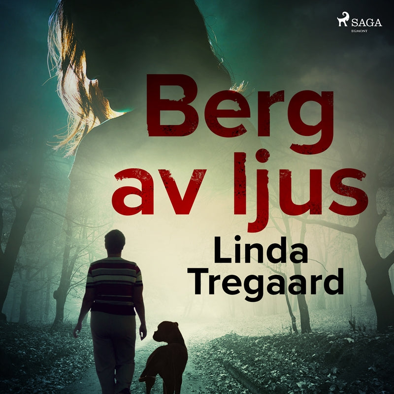 Berg av ljus – Ljudbok