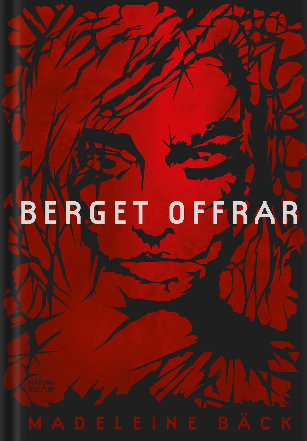 Berget offrar – E-bok