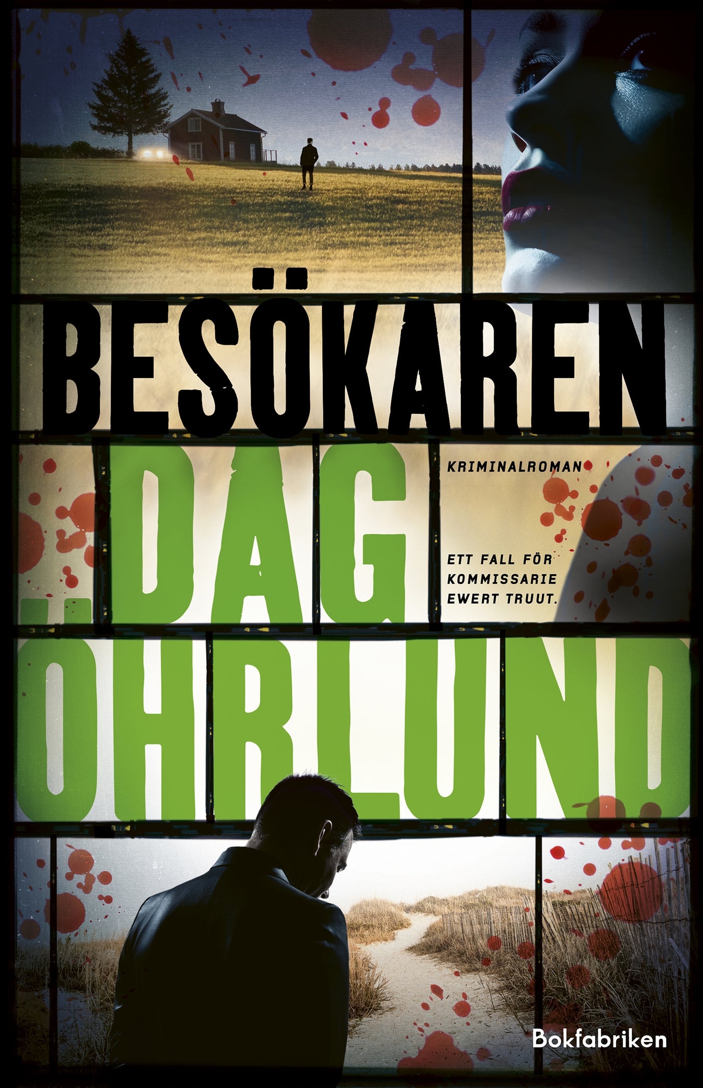 Besökaren – E-bok