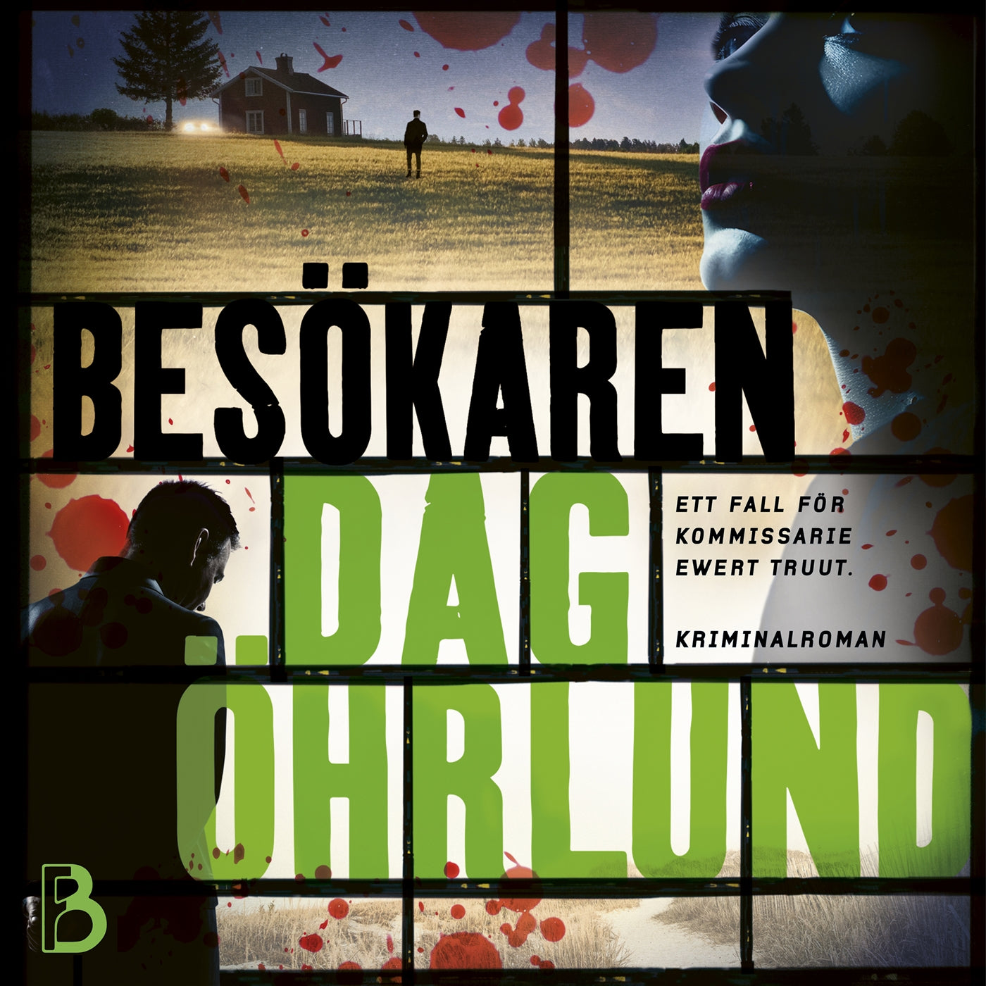 Besökaren – Ljudbok