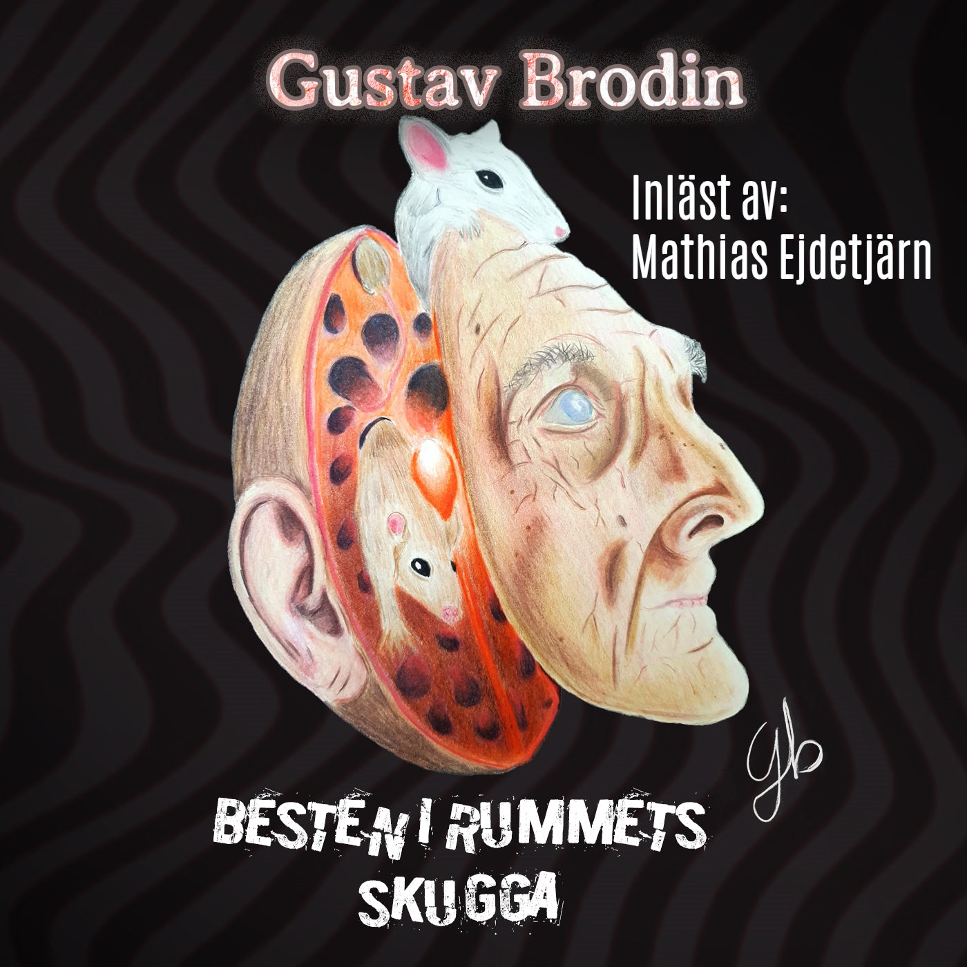 Besten i rummets skugga – Ljudbok
