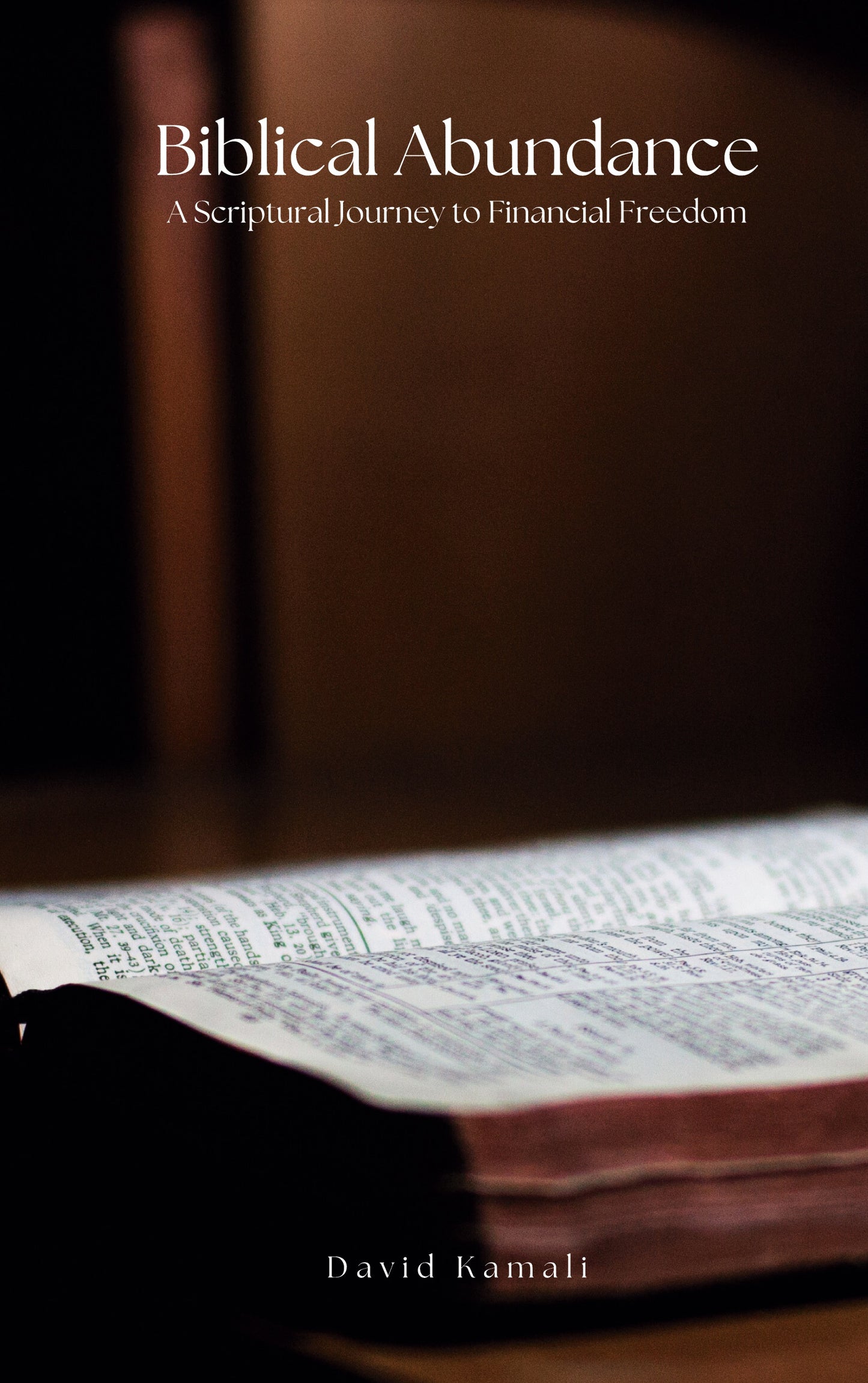 Biblical Abundance: A Scriptural Journey to Financial Freedom – E-bok