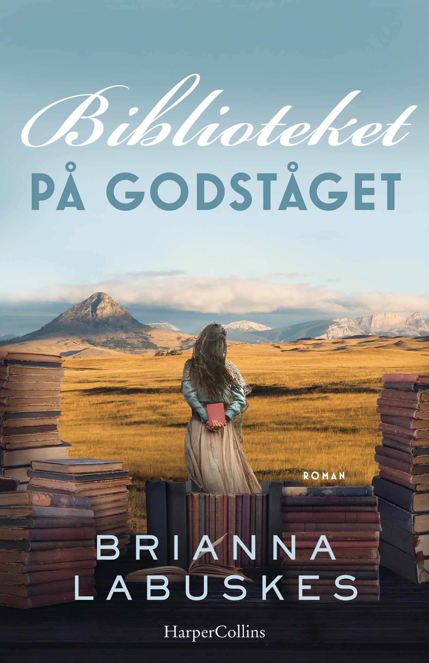 Biblioteket på godståget – E-bok