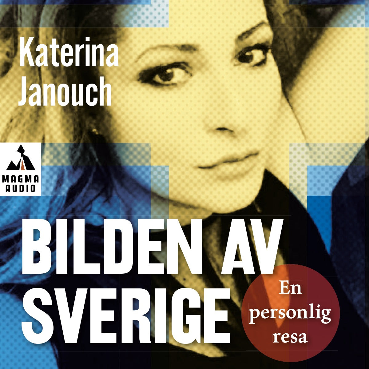 Bilden av Sverige : en personlig resa – Ljudbok