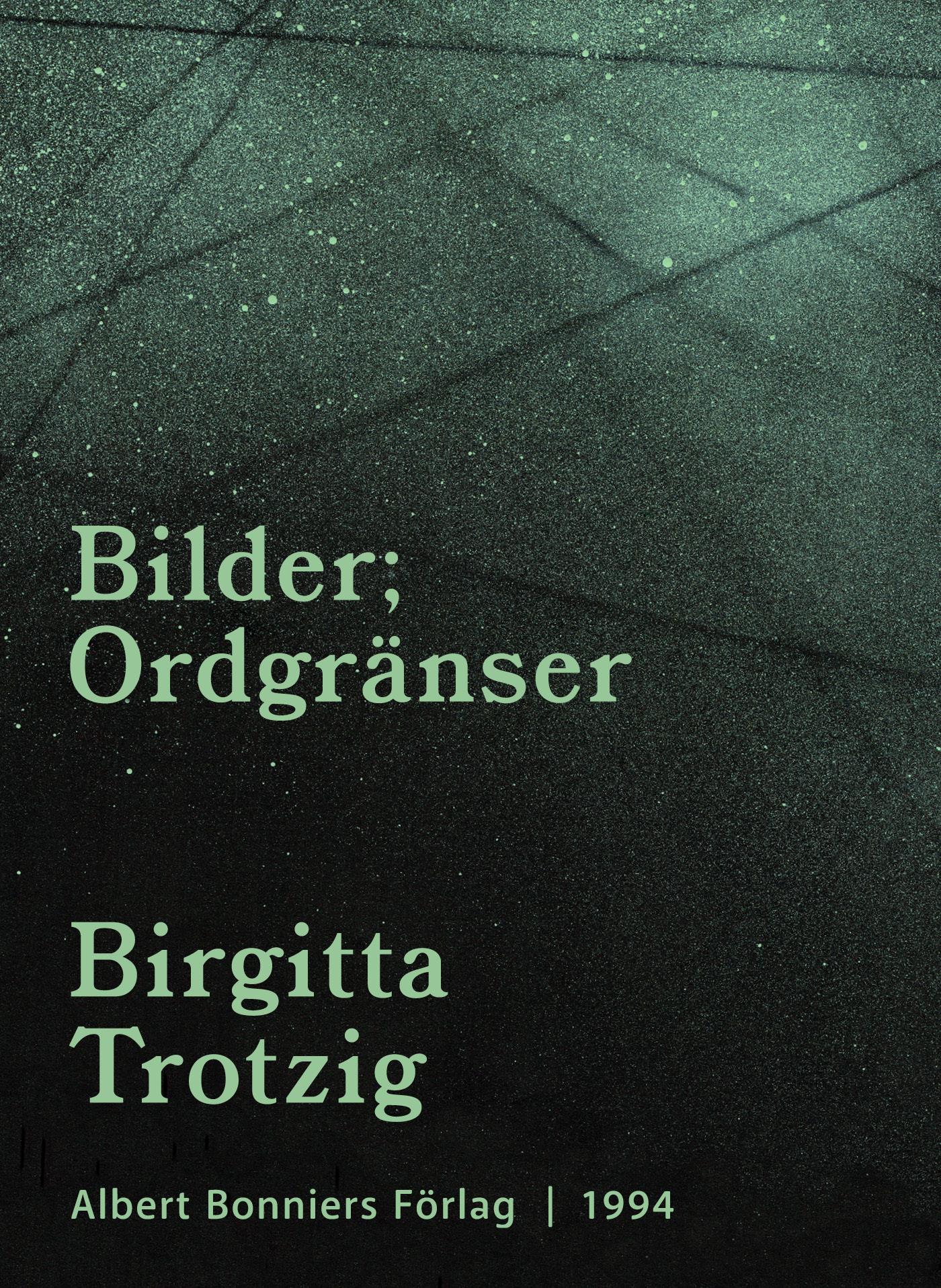 Bilder ; Ordgränser – E-bok