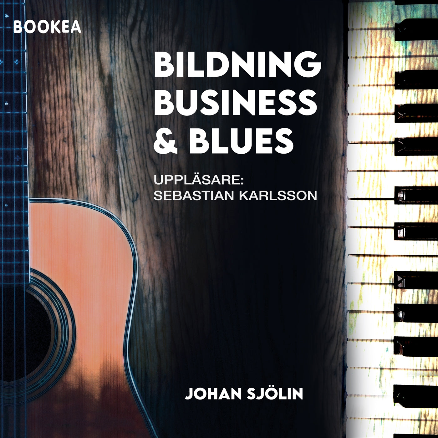 Bildning, business och blues : en friskoleentreprenörs resa över 30 år – Ljudbok