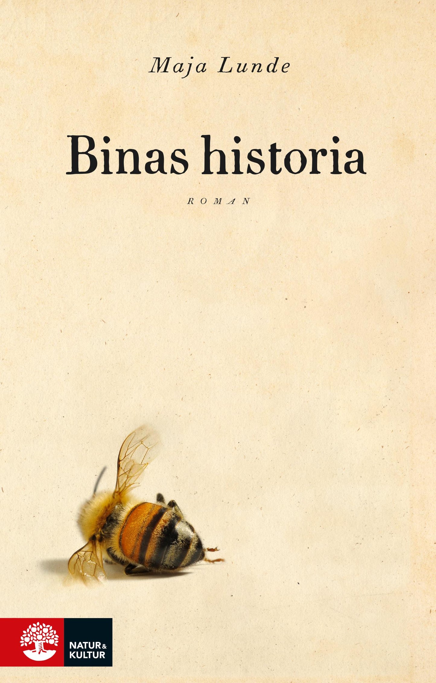 Binas historia – E-bok