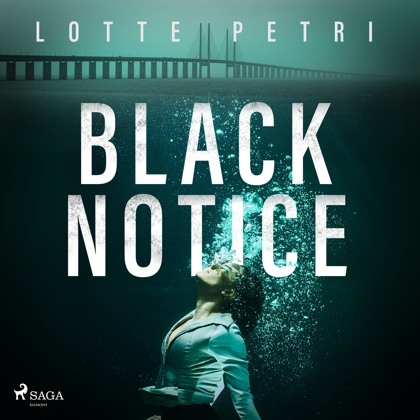 Black Notice – Ljudbok