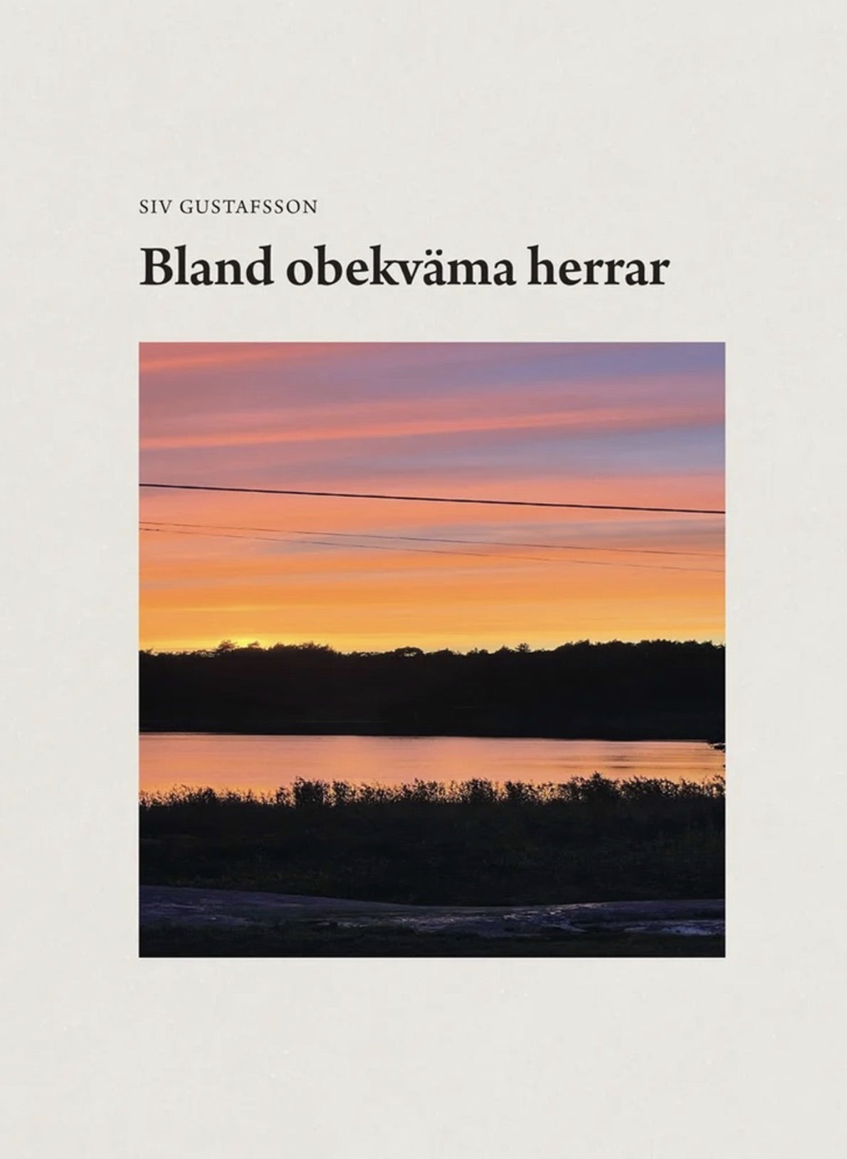 Bland obekväma herrar – E-bok