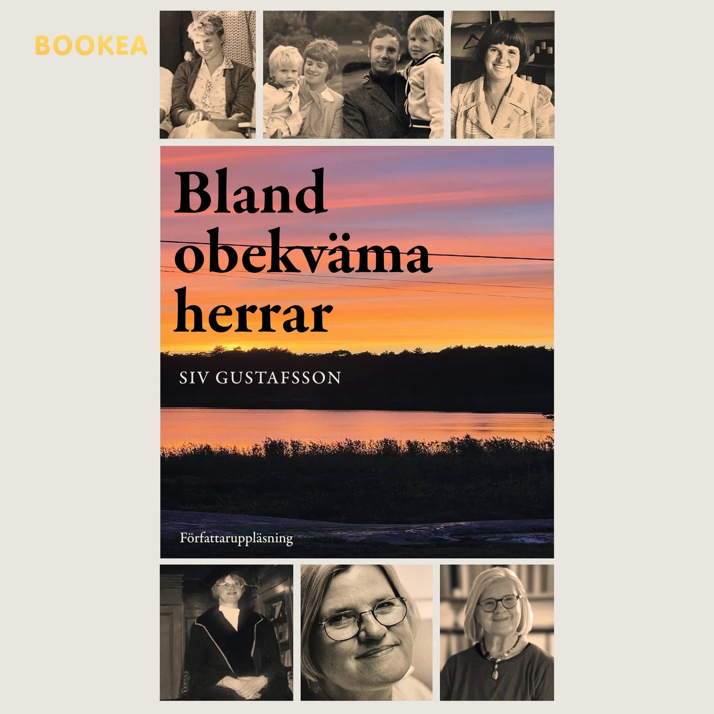 Bland obekväma herrar – Ljudbok