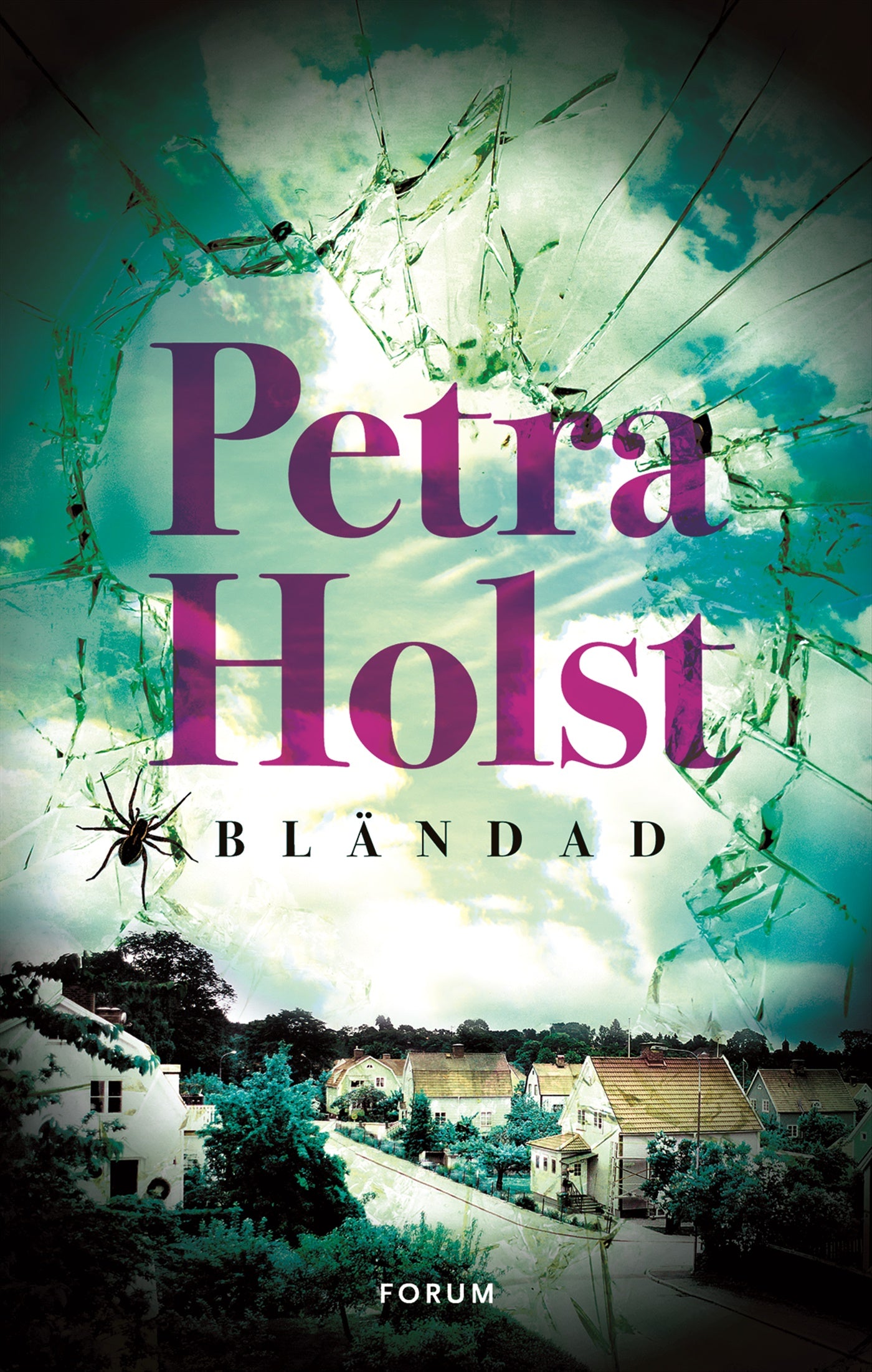 Bländad – E-bok