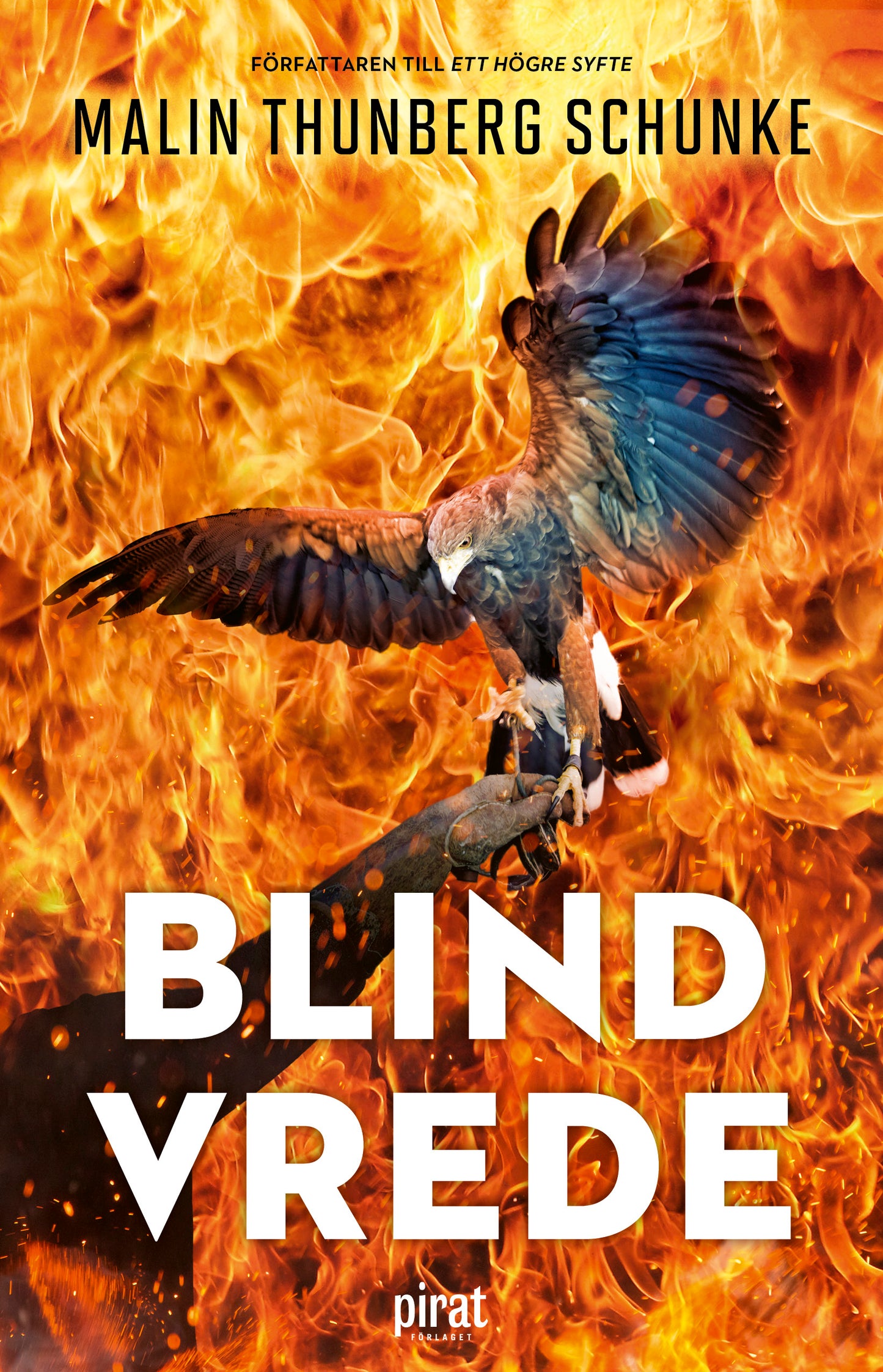 Blind vrede – E-bok