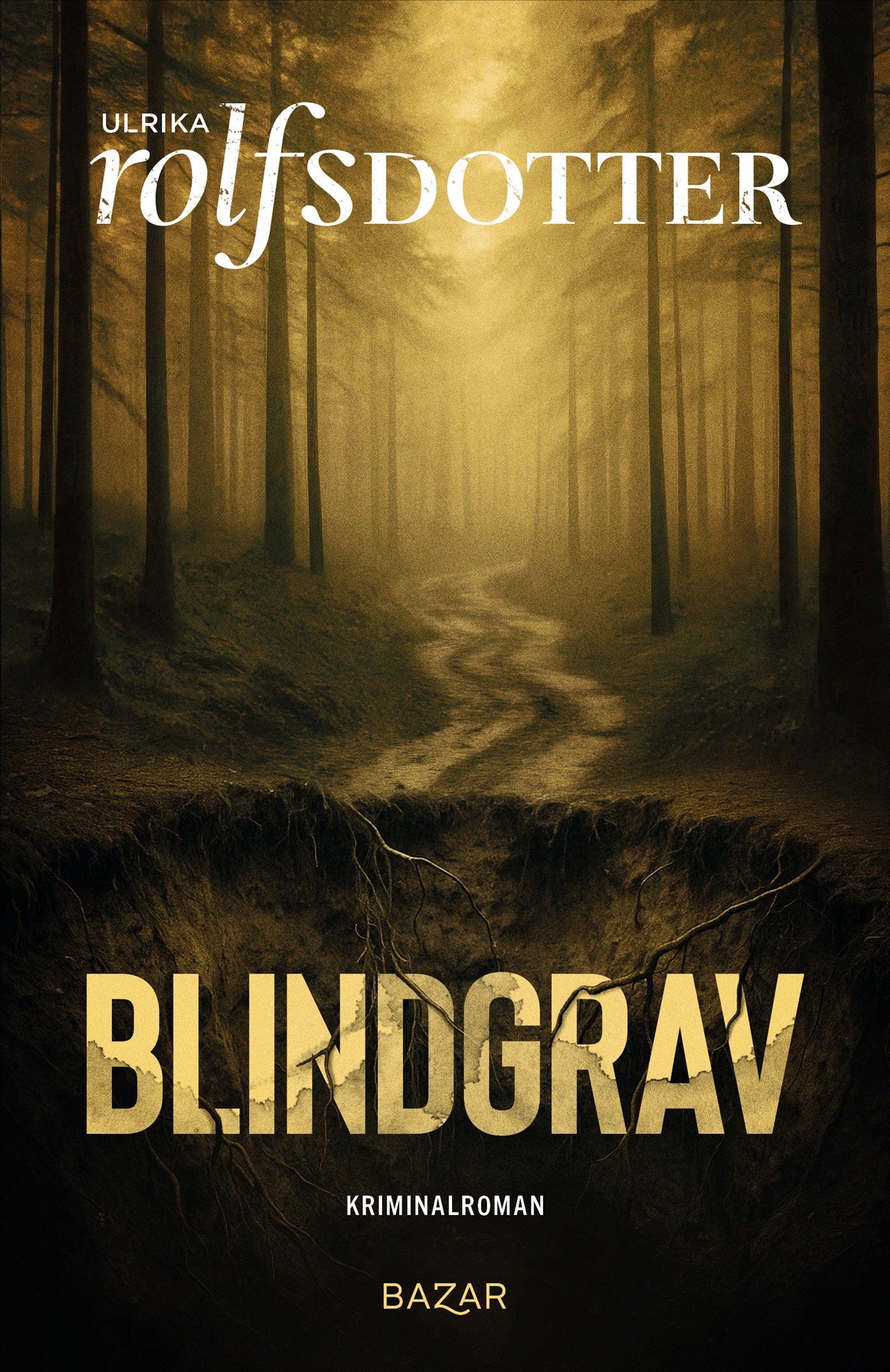 Blindgrav – E-bok