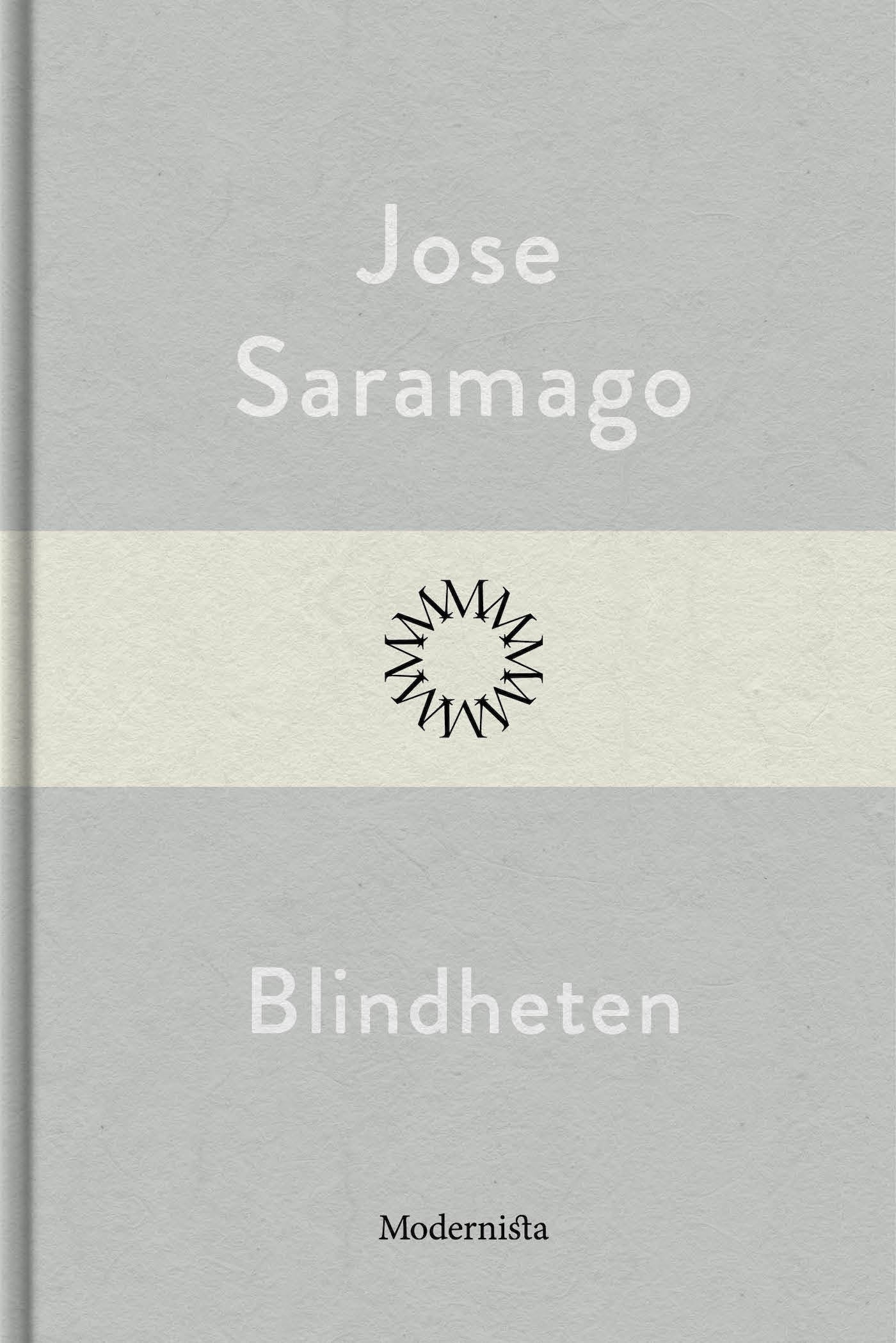 Blindheten – E-bok