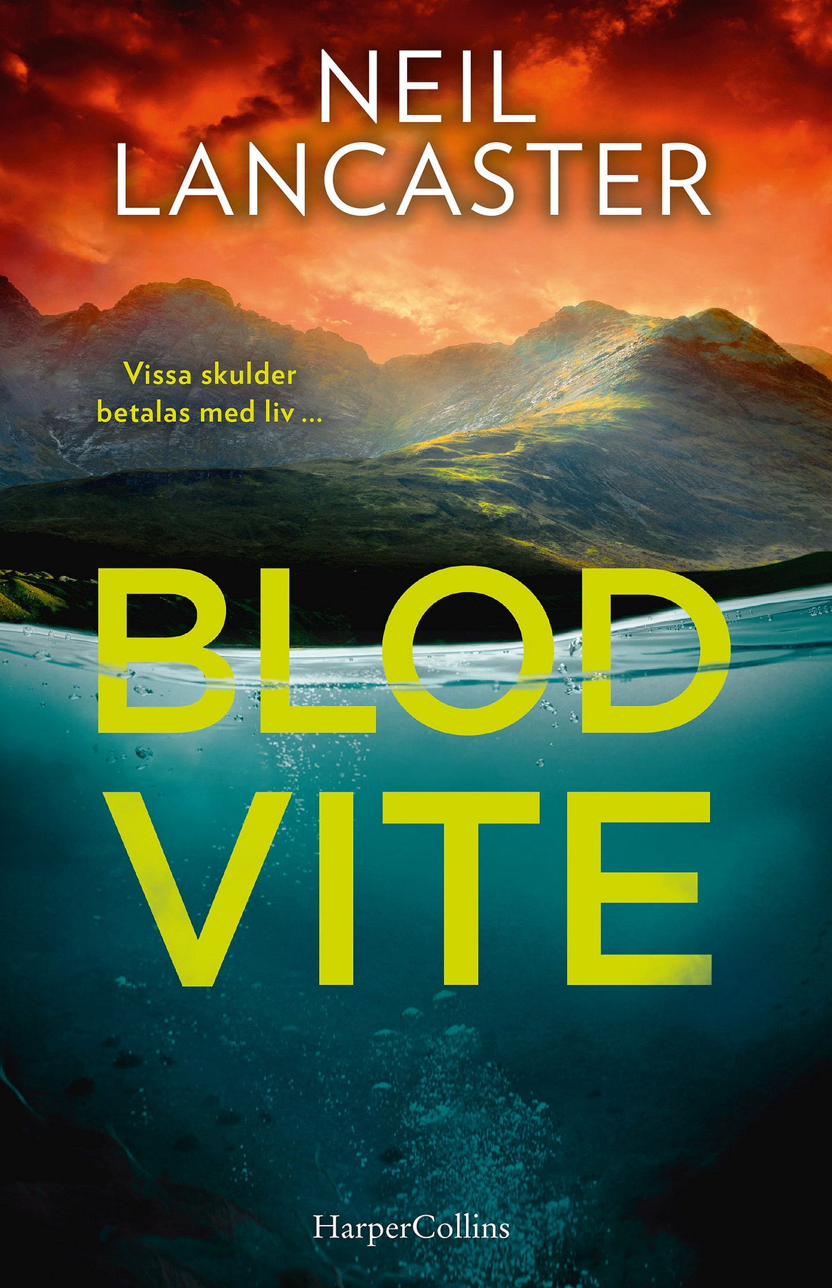 Blodvite – E-bok