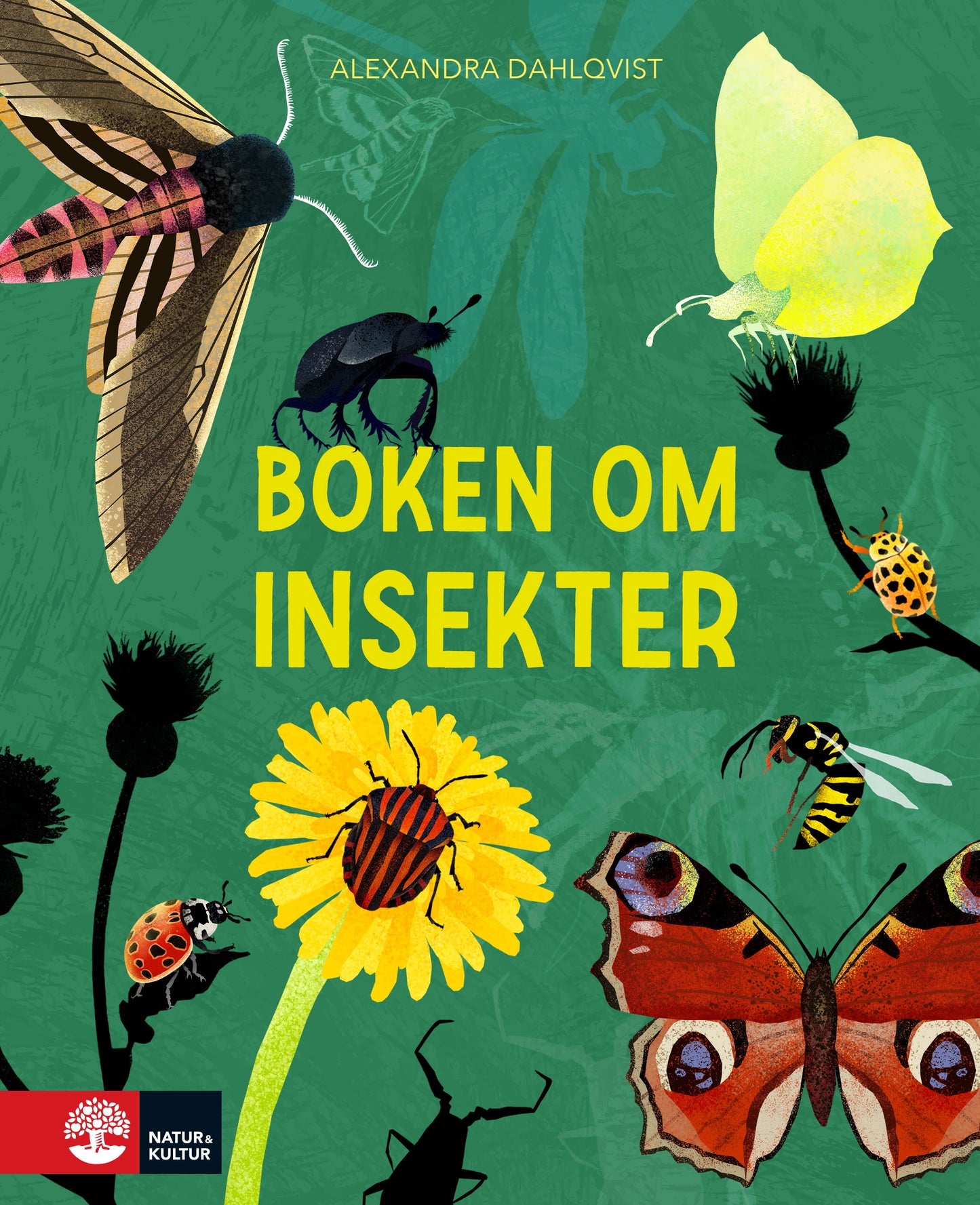 Boken om insekter – E-bok
