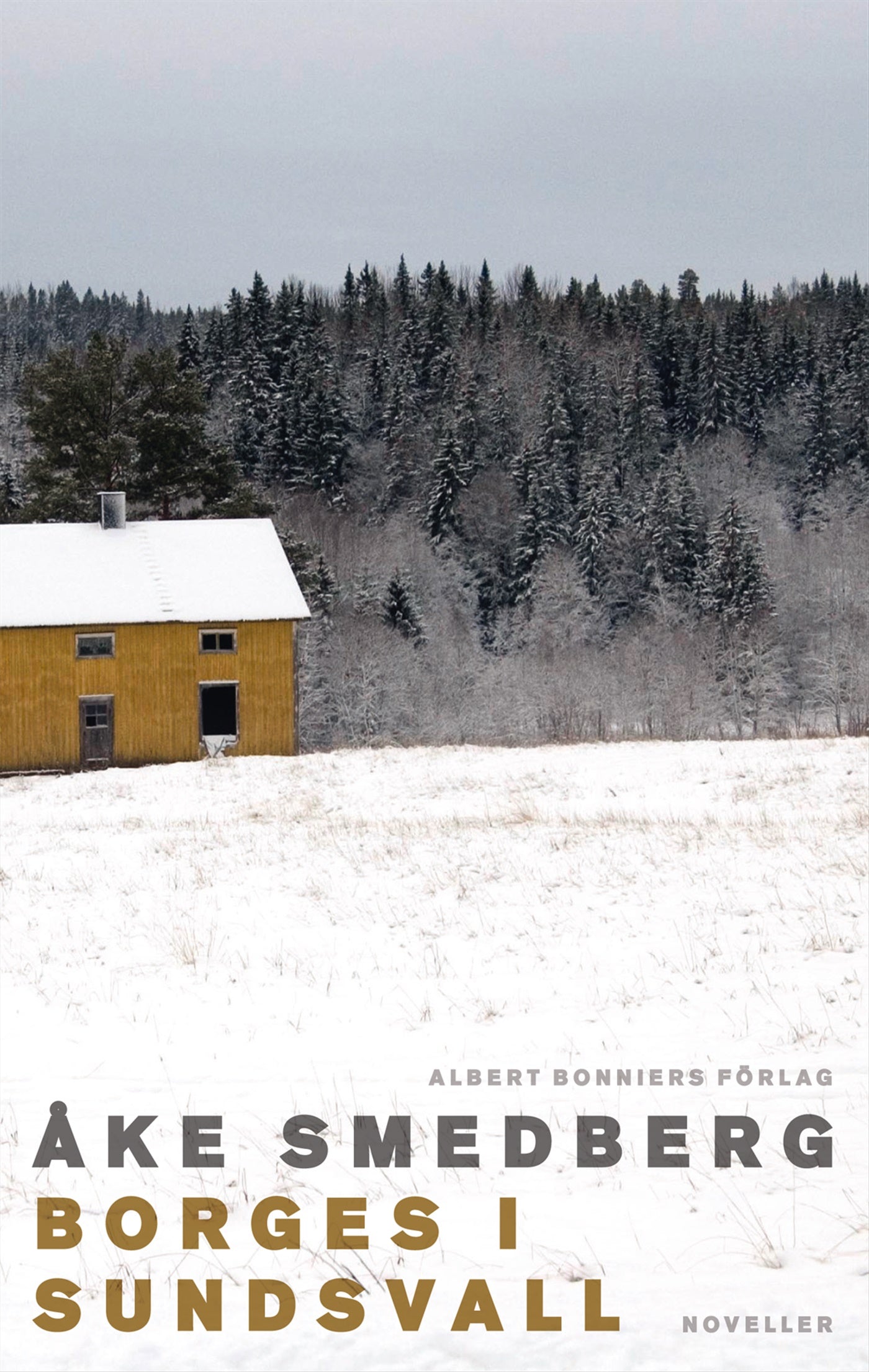 Borges i Sundsvall – E-bok