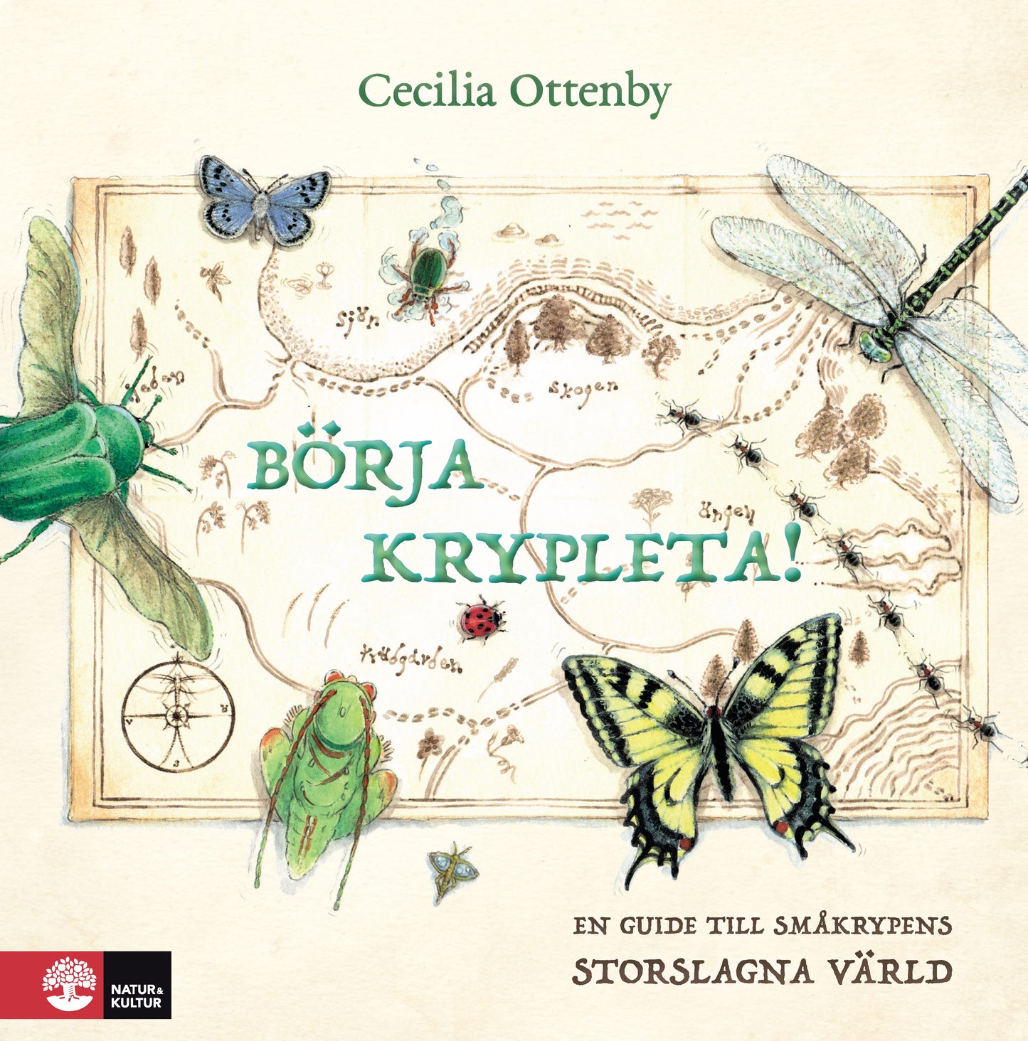 Börja krypleta! – E-bok