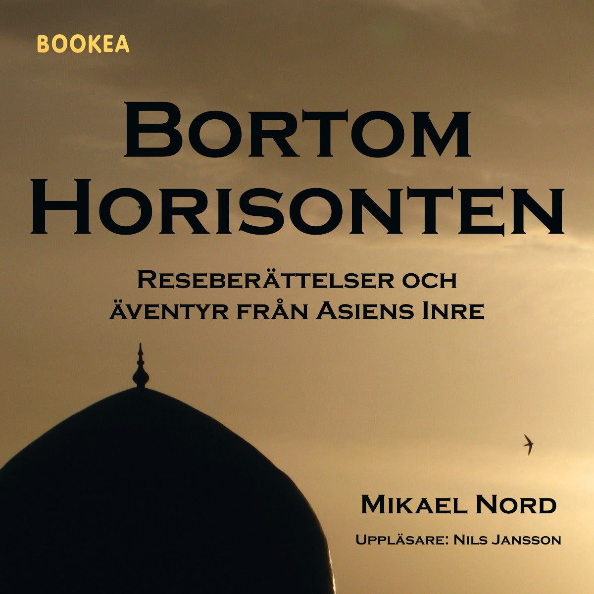 Bortom horisonten : reseberättelser och äventyr från Asiens inre – Ljudbok