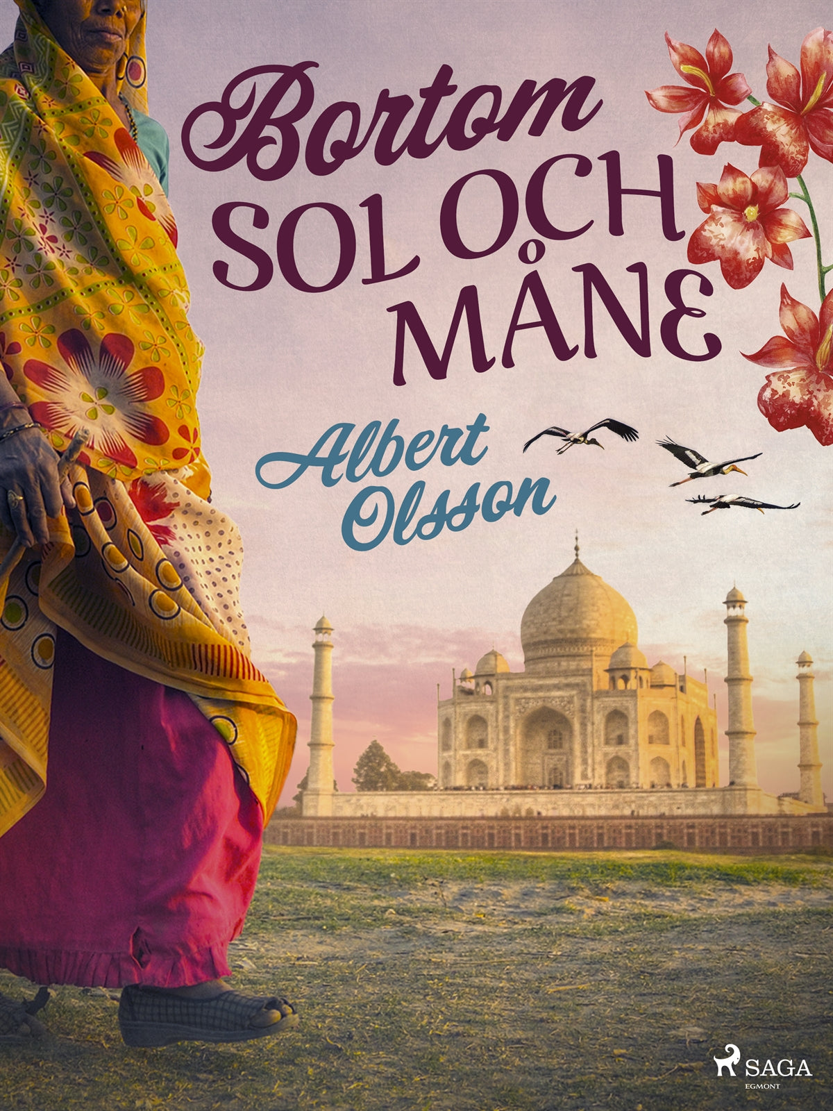 Bortom sol och måne – E-bok