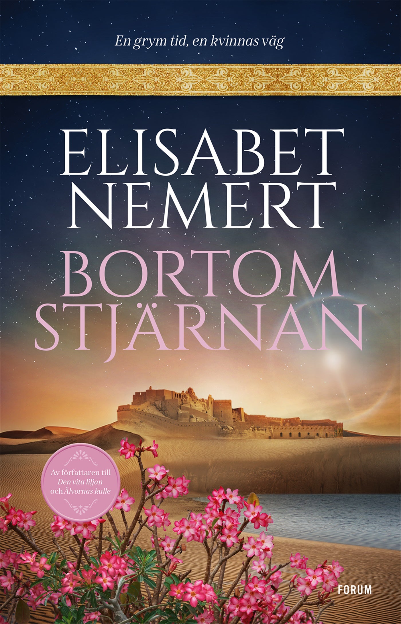 Bortom stjärnan – E-bok
