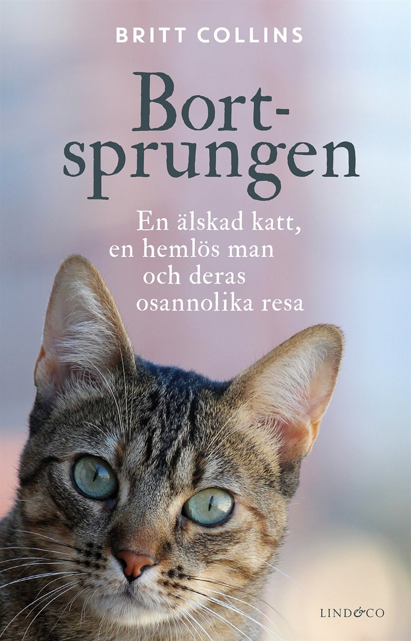Bortsprungen : en älskad katt, en hemlös man och deras osannolika resa – E-bok